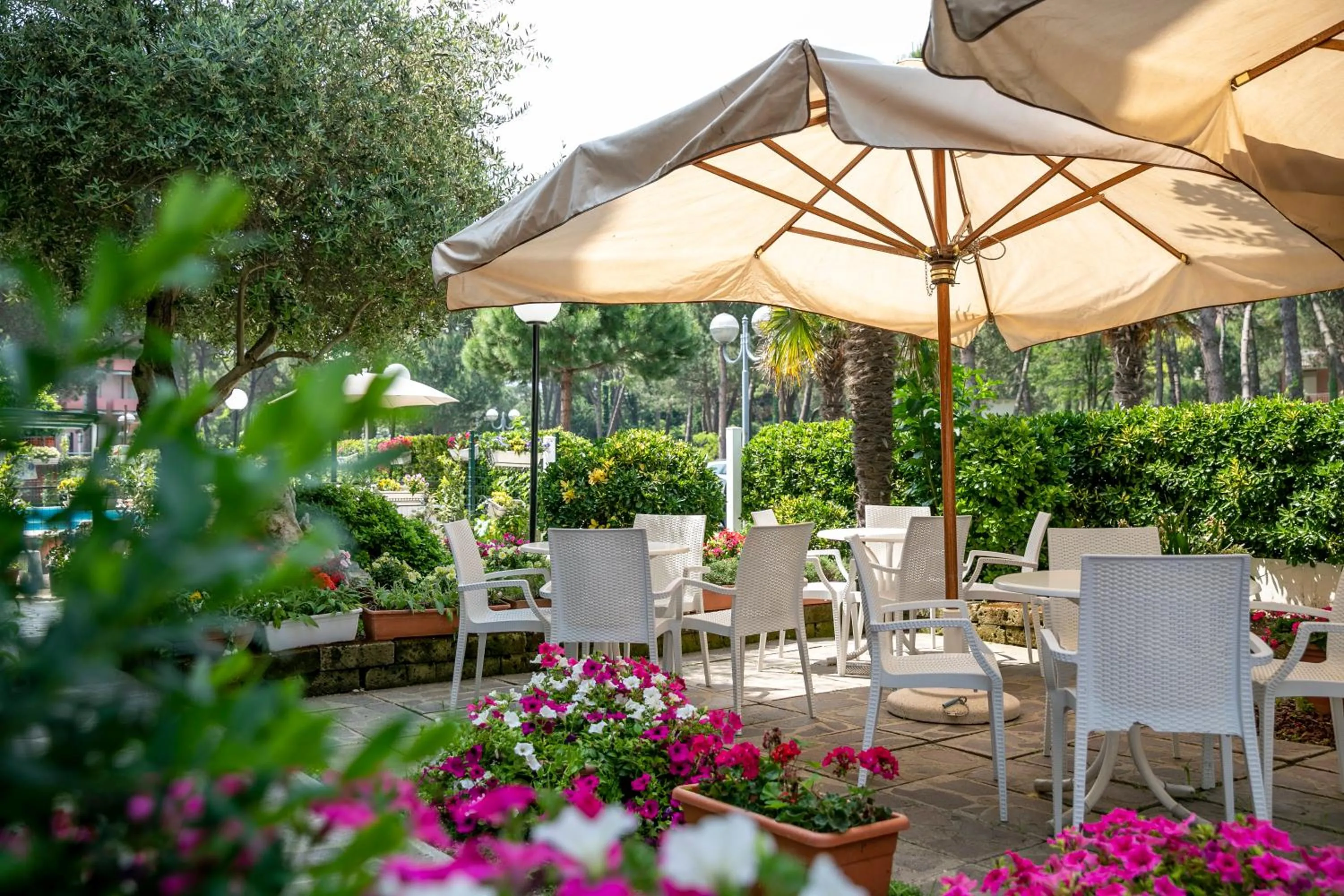 Patio in Hotel Ridolfi
