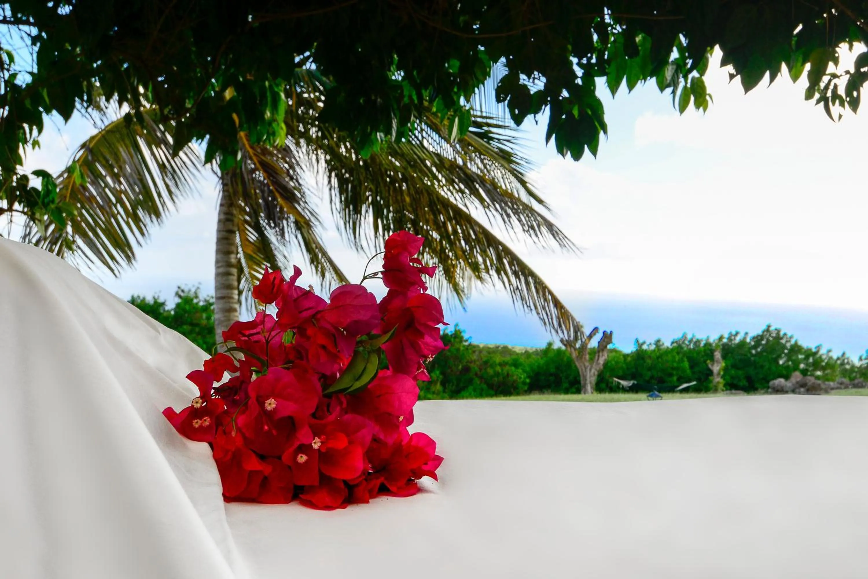 Massage in Montpelier Nevis