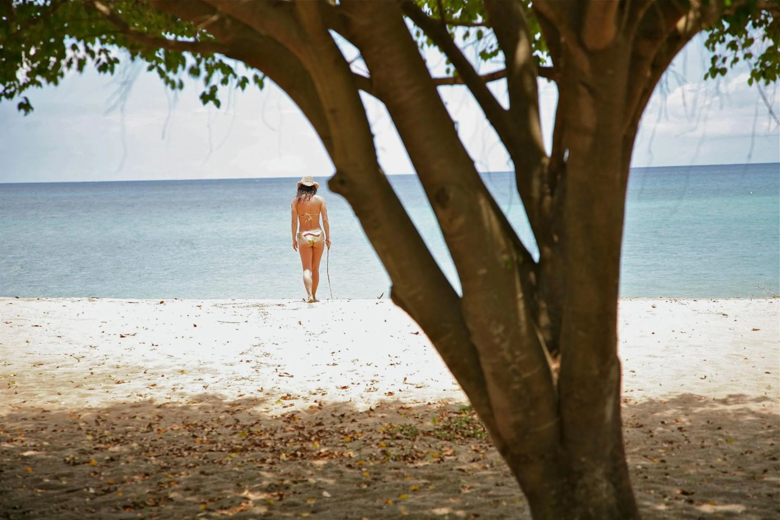 Day in Montpelier Nevis