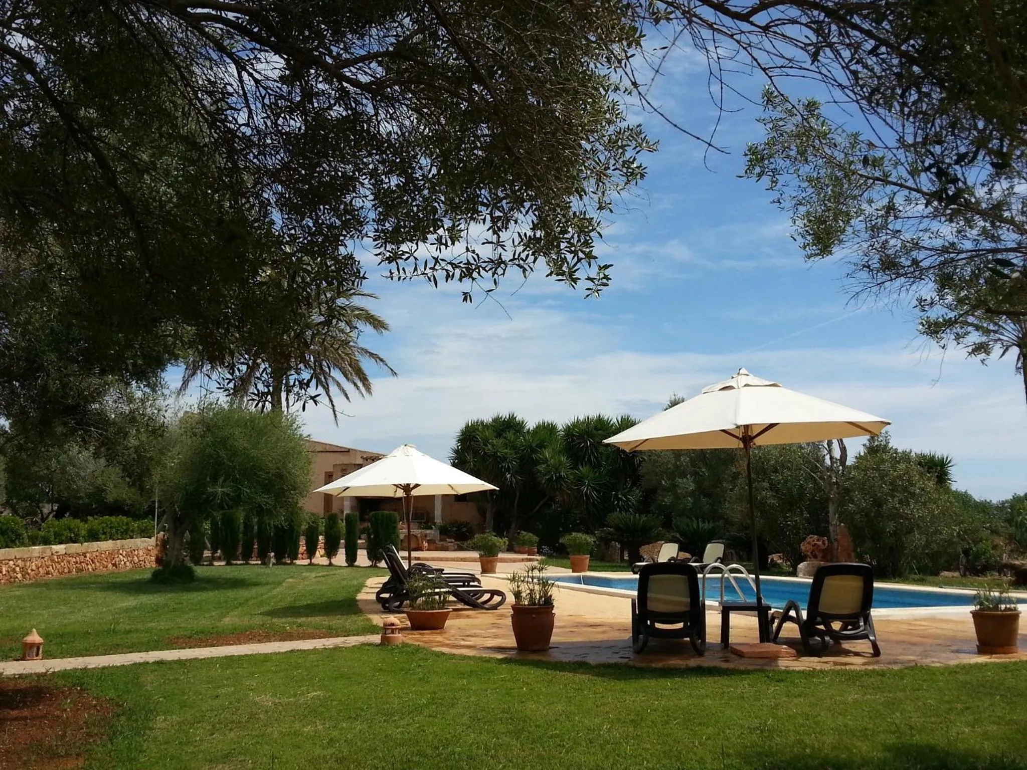 Garden view in Agroturismo Finca Son Sala