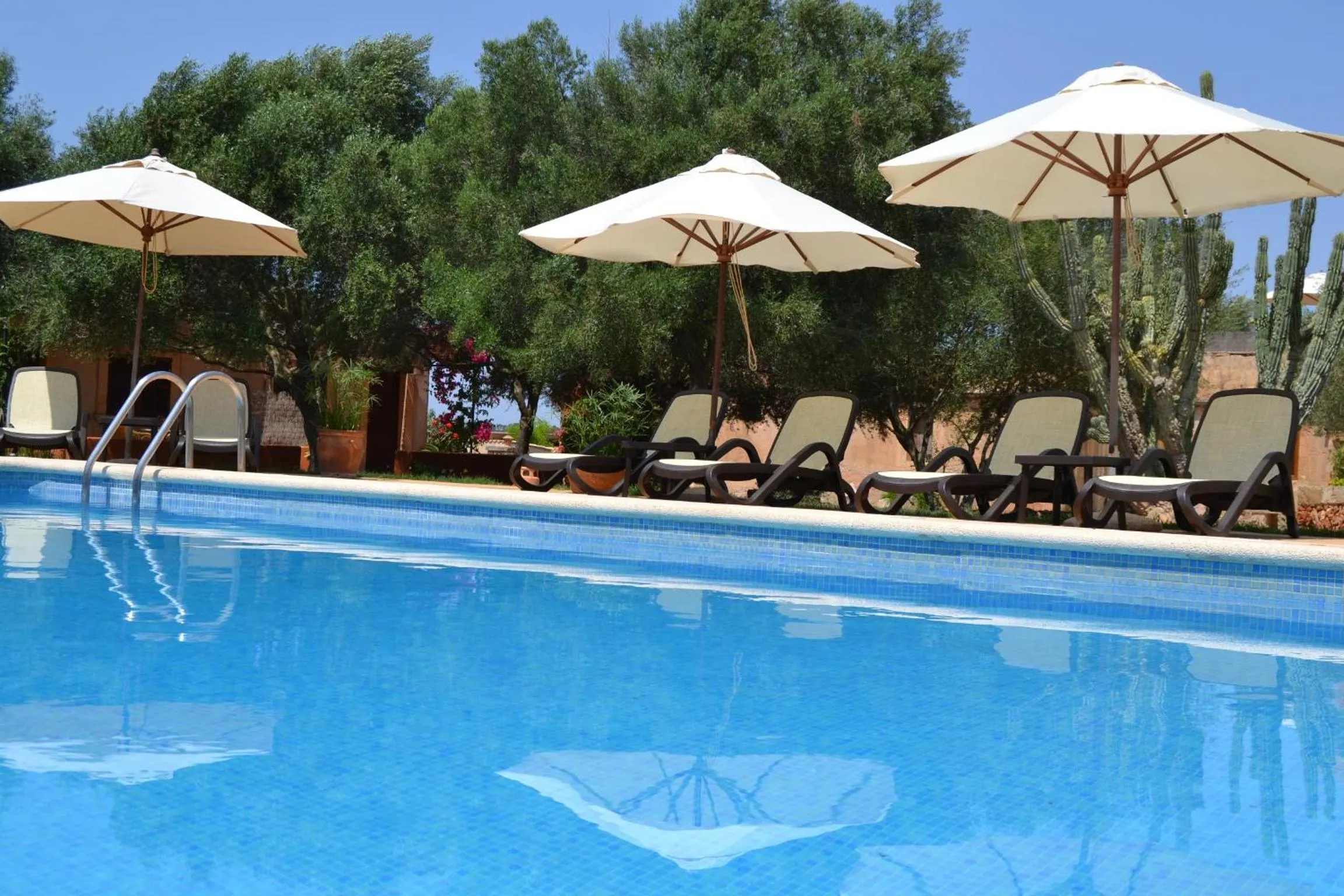 Swimming pool in Agroturismo Finca Son Sala