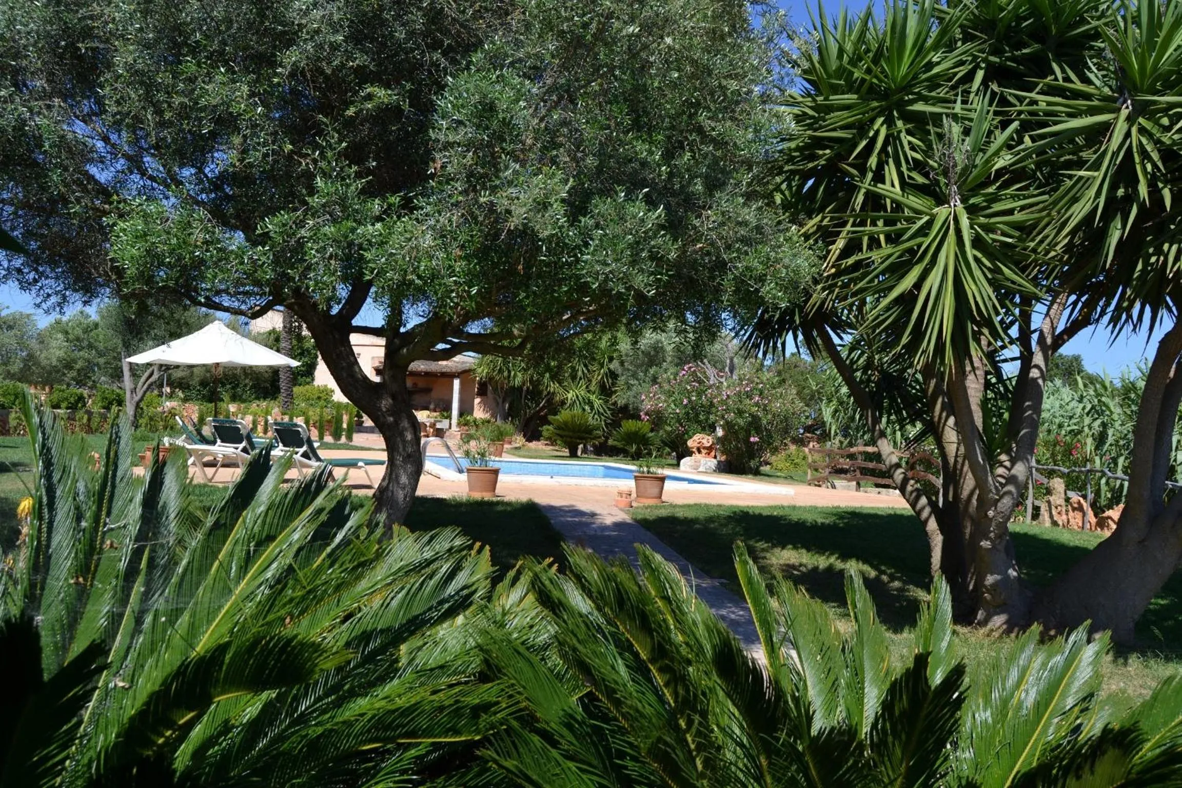Swimming pool in Agroturismo Finca Son Sala