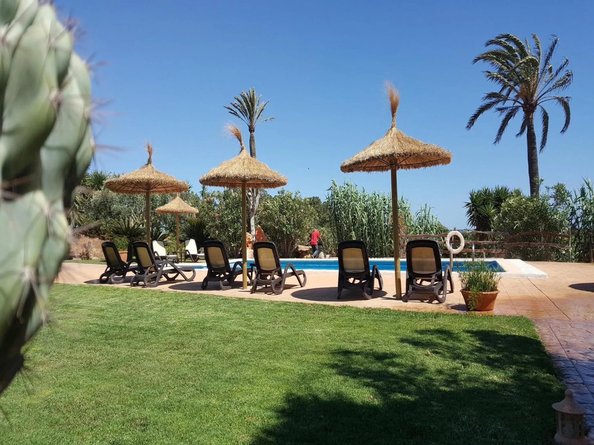 Swimming pool in Agroturismo Finca Son Sala
