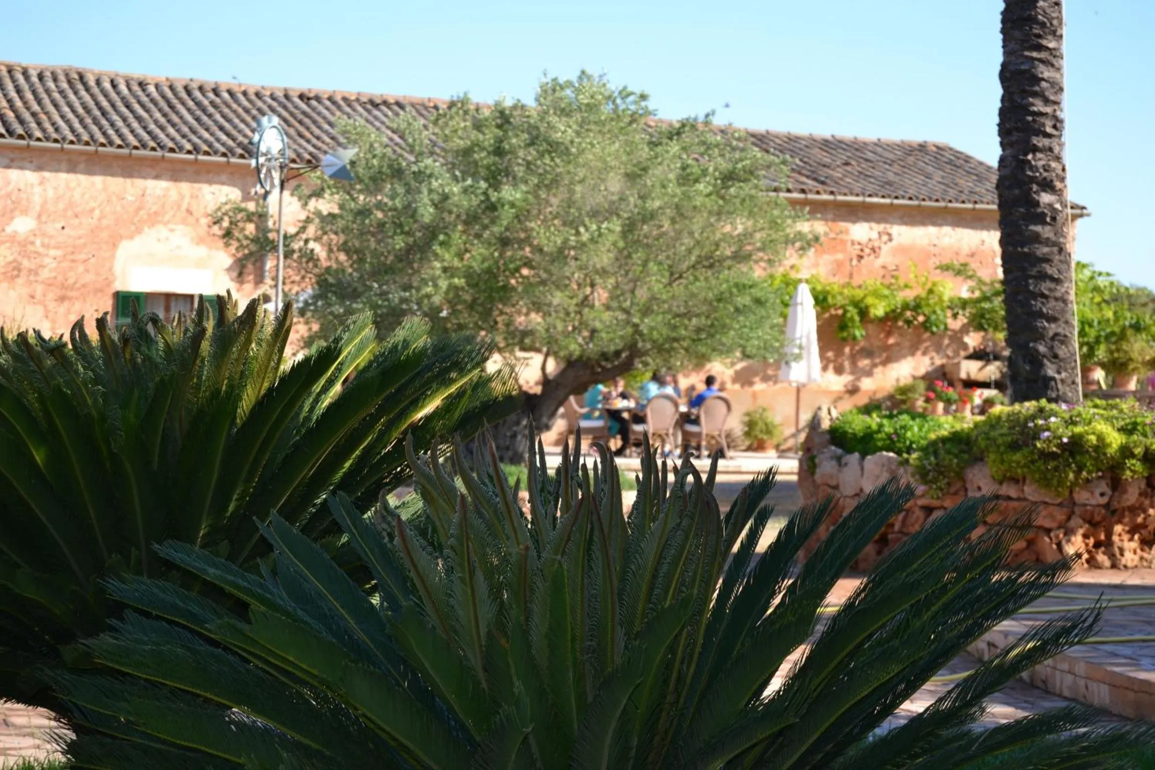 Garden in Agroturismo Finca Son Sala