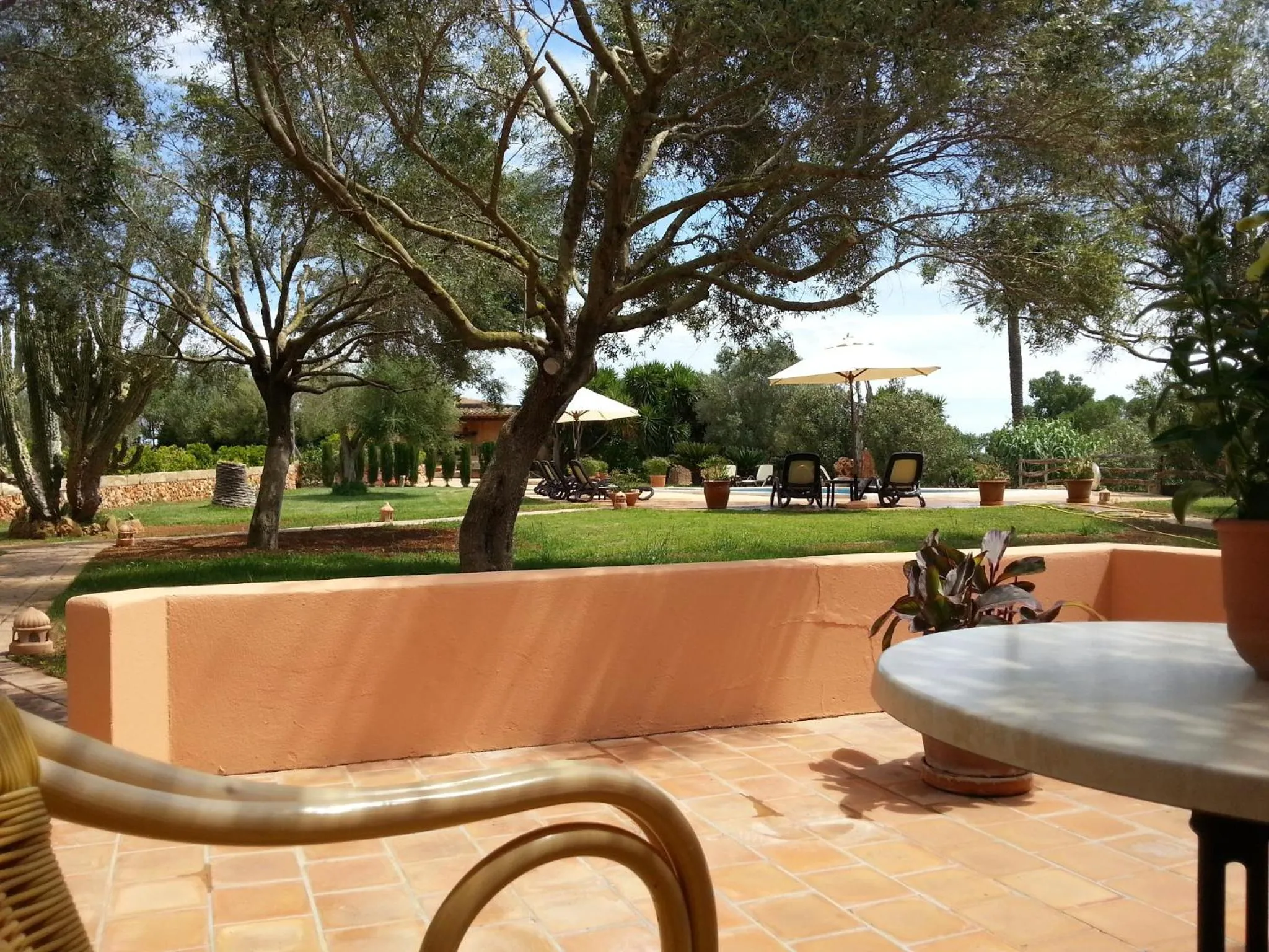 Garden view in Agroturismo Finca Son Sala
