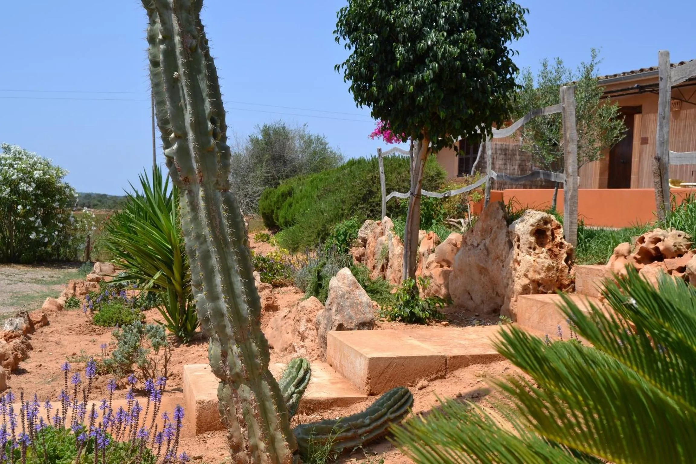 Garden in Agroturismo Finca Son Sala
