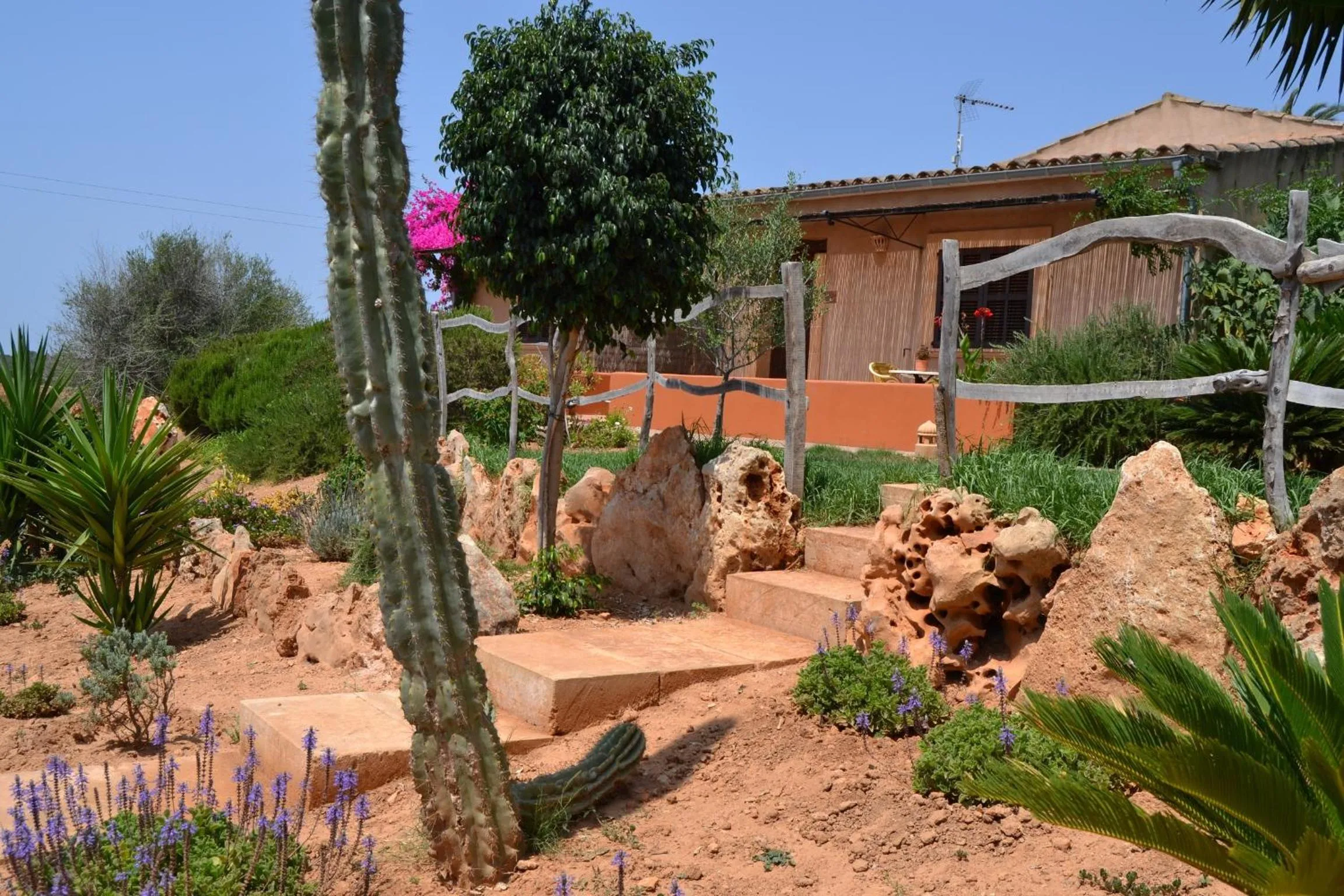 Garden in Agroturismo Finca Son Sala