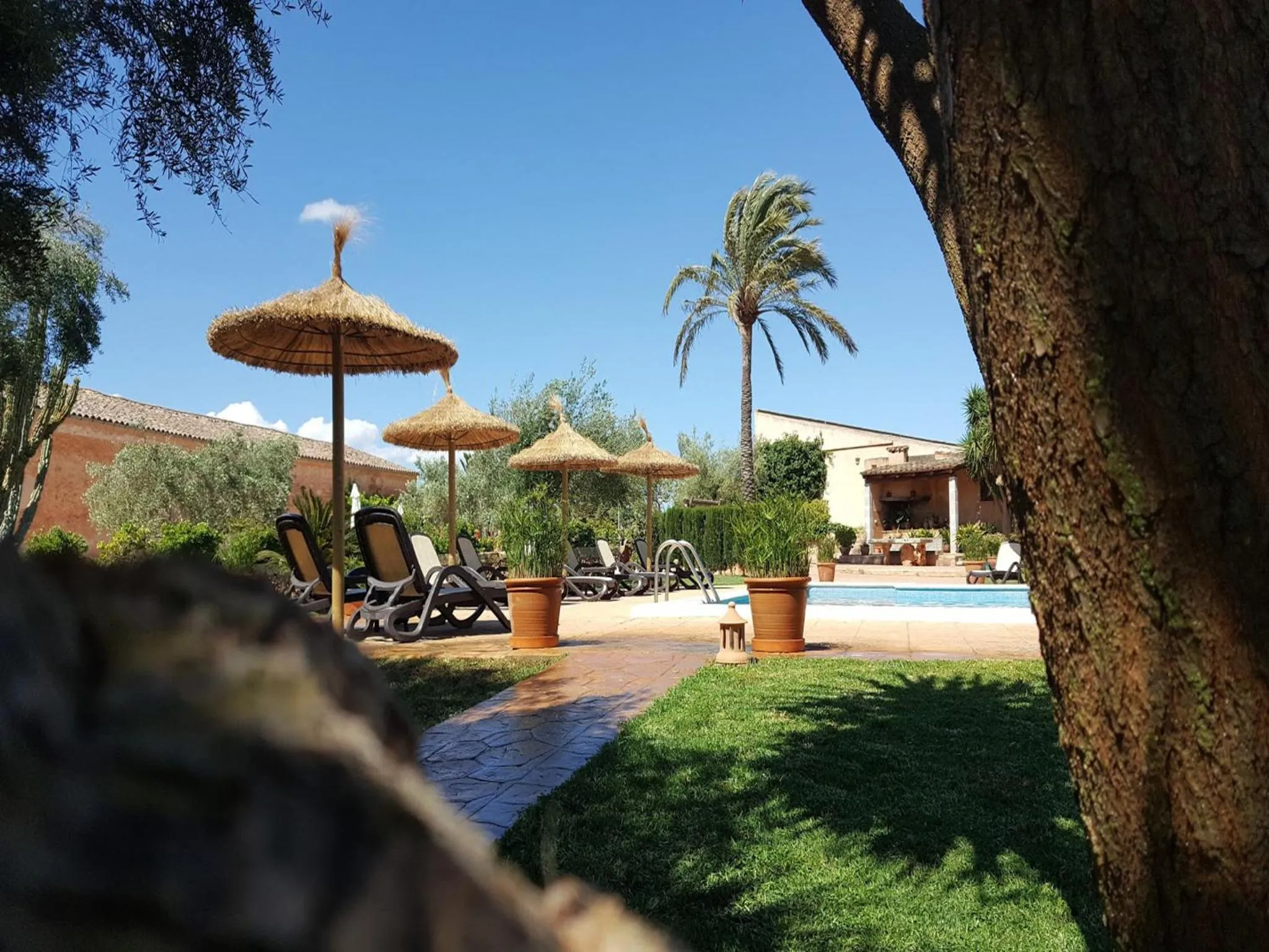 Swimming pool in Agroturismo Finca Son Sala