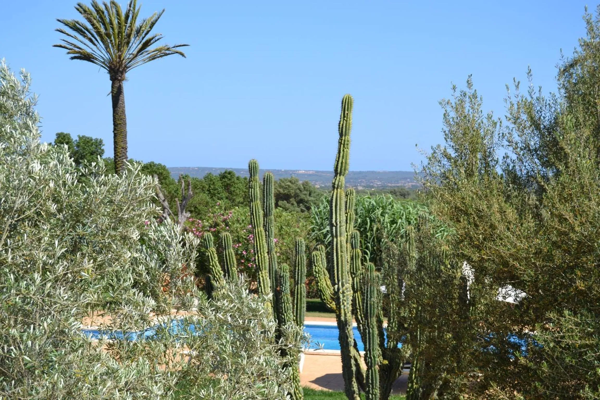 Garden in Agroturismo Finca Son Sala