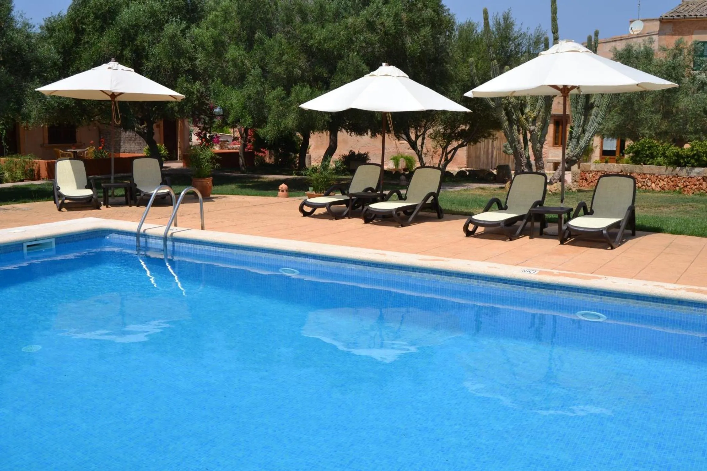 Swimming pool in Agroturismo Finca Son Sala