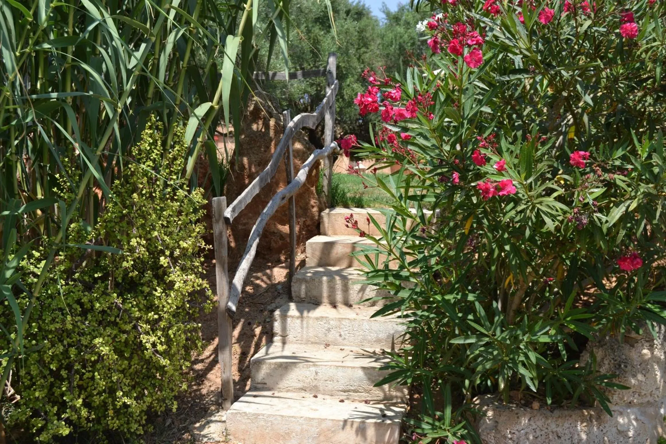 Garden in Agroturismo Finca Son Sala