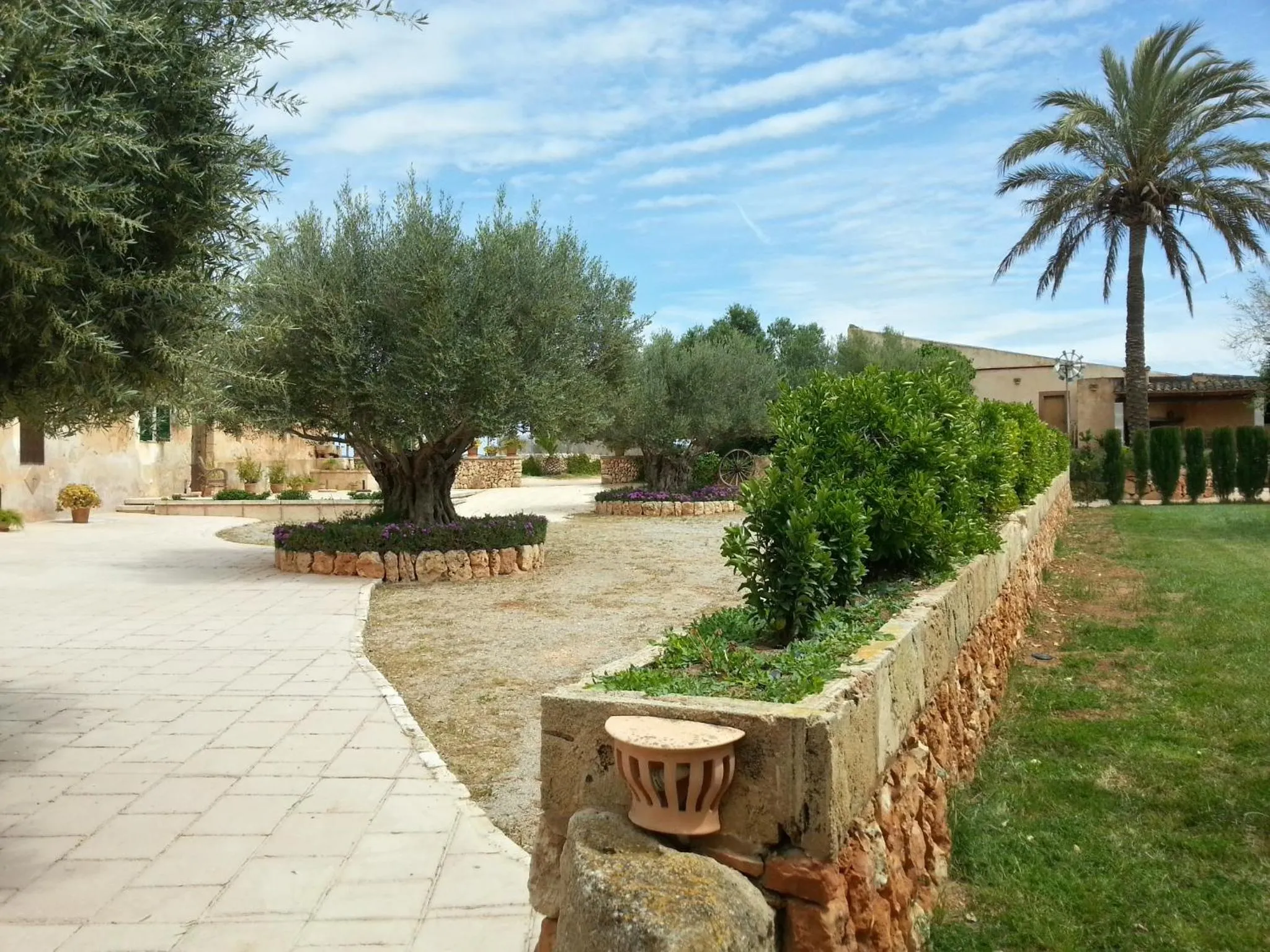 Garden in Agroturismo Finca Son Sala