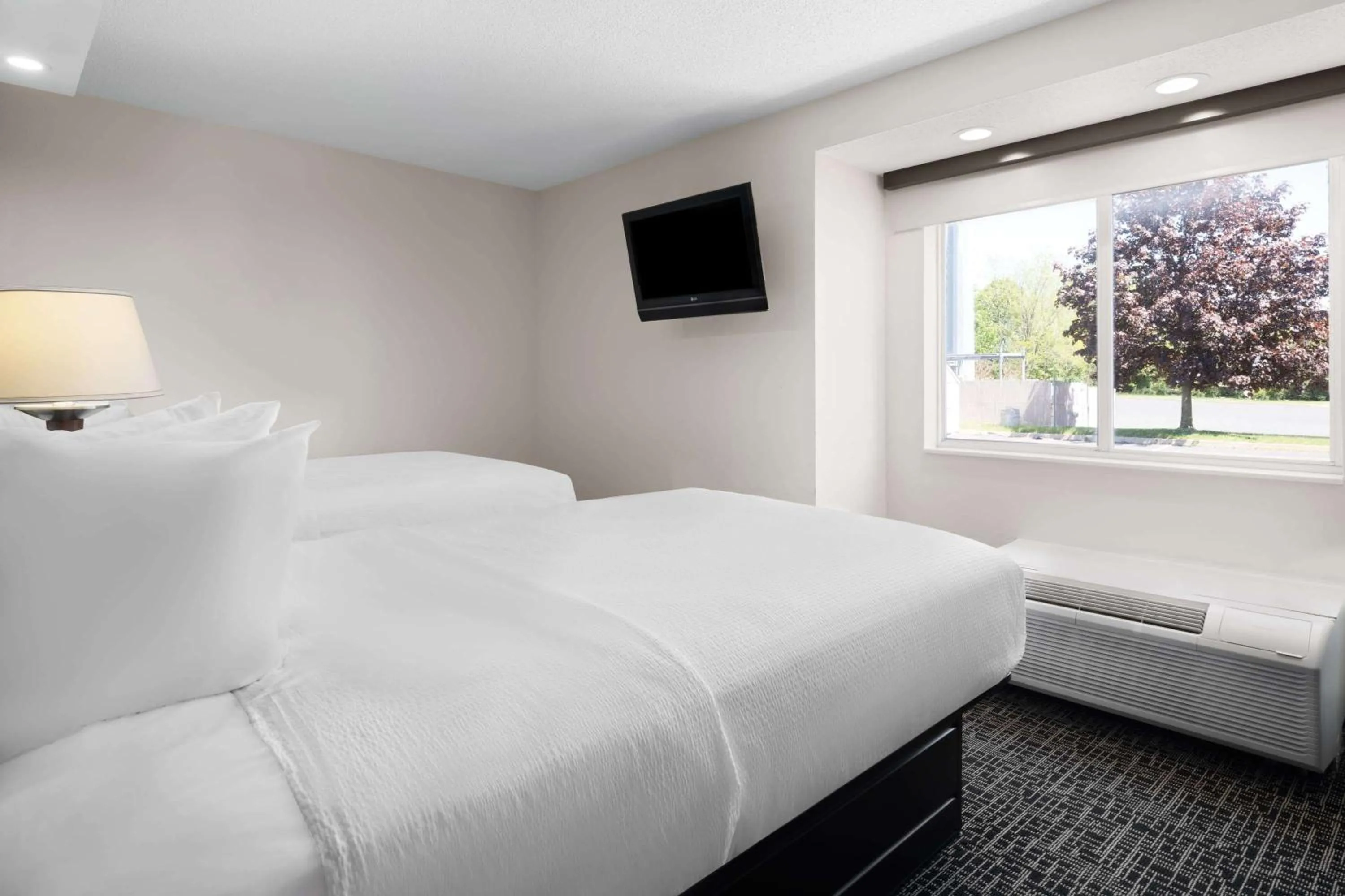 Photo of the whole room, Bed in Baymont by Wyndham Boardman