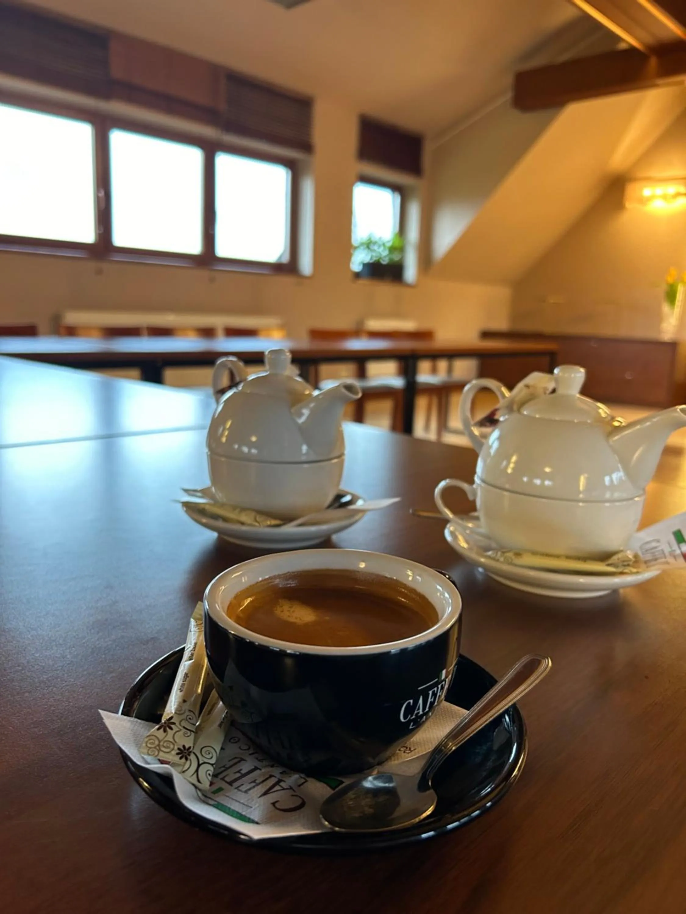 Meeting/conference room in Hotel Vesta Centrum Konferencyjno Wypoczynkowe