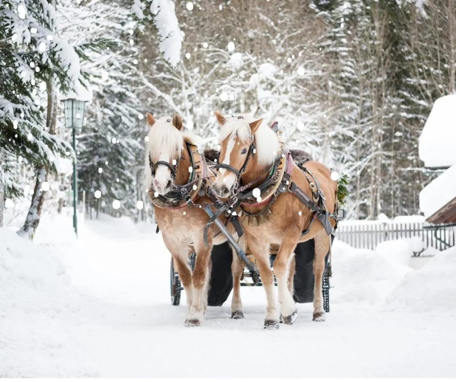Neighbourhood in Hotel Vesta Centrum Konferencyjno Wypoczynkowe