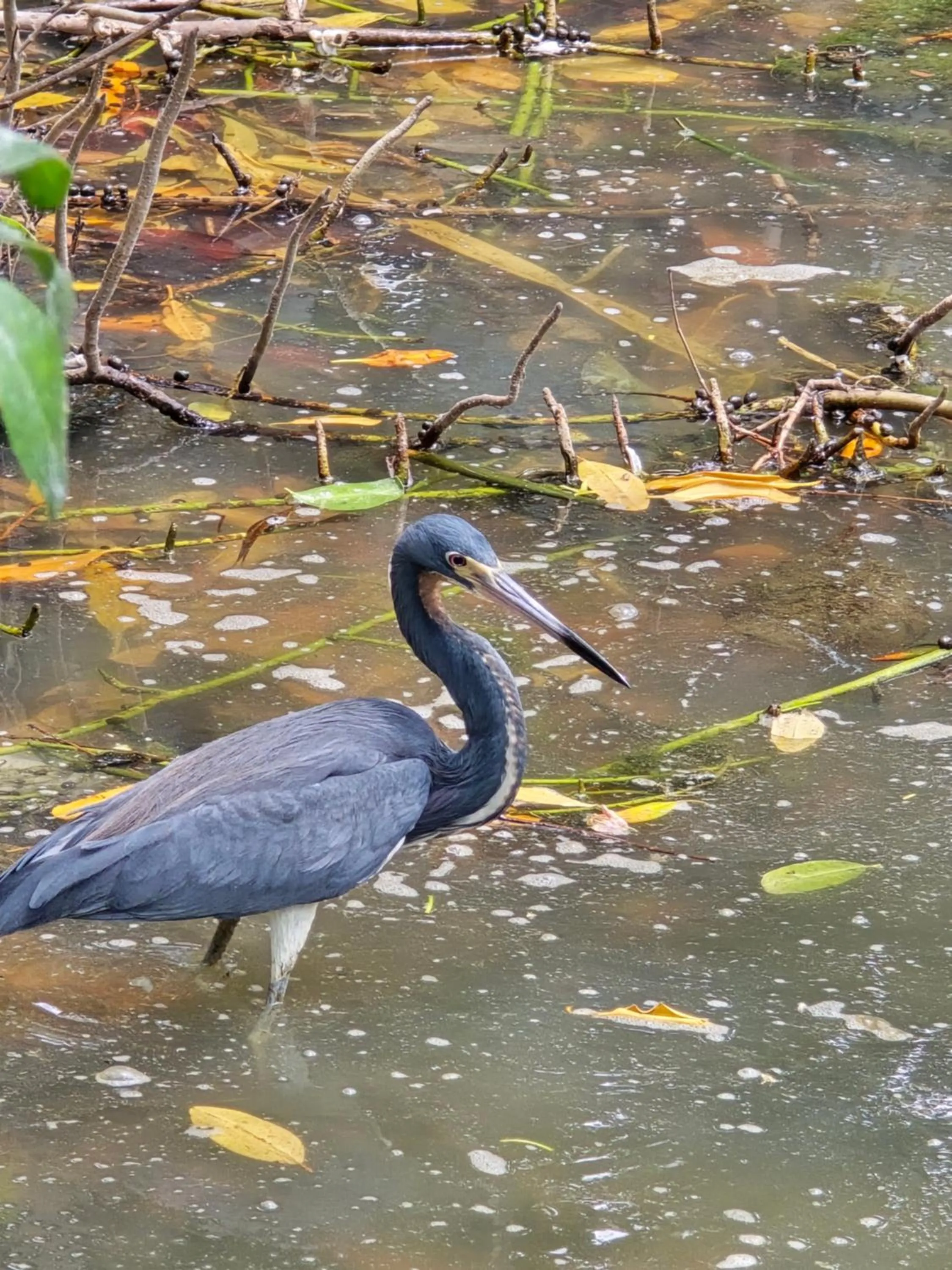Day in Hotel Los Veleros Santa Marta