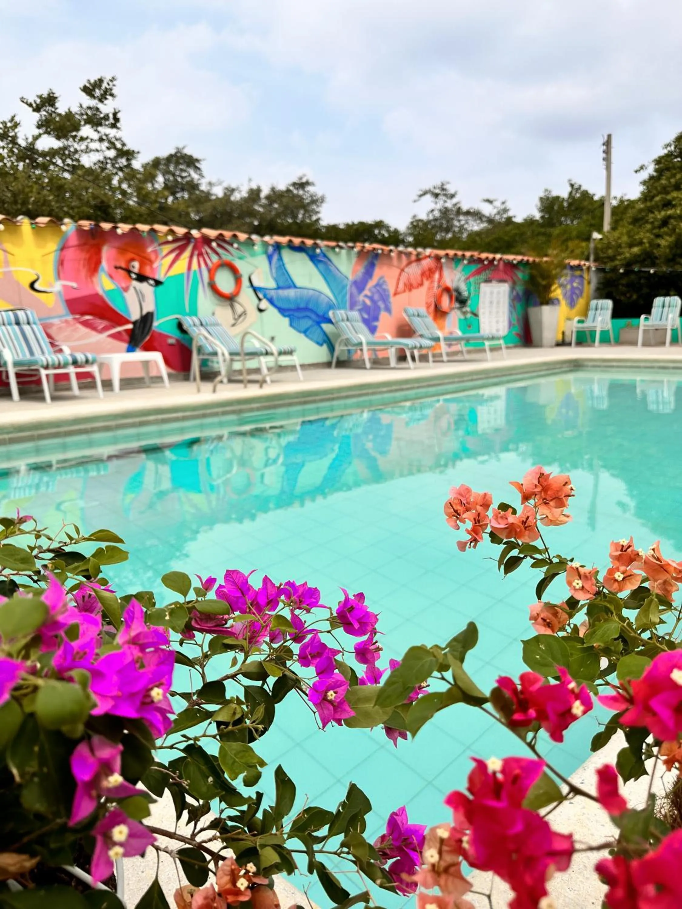 Aqua park in Hotel Los Veleros Santa Marta