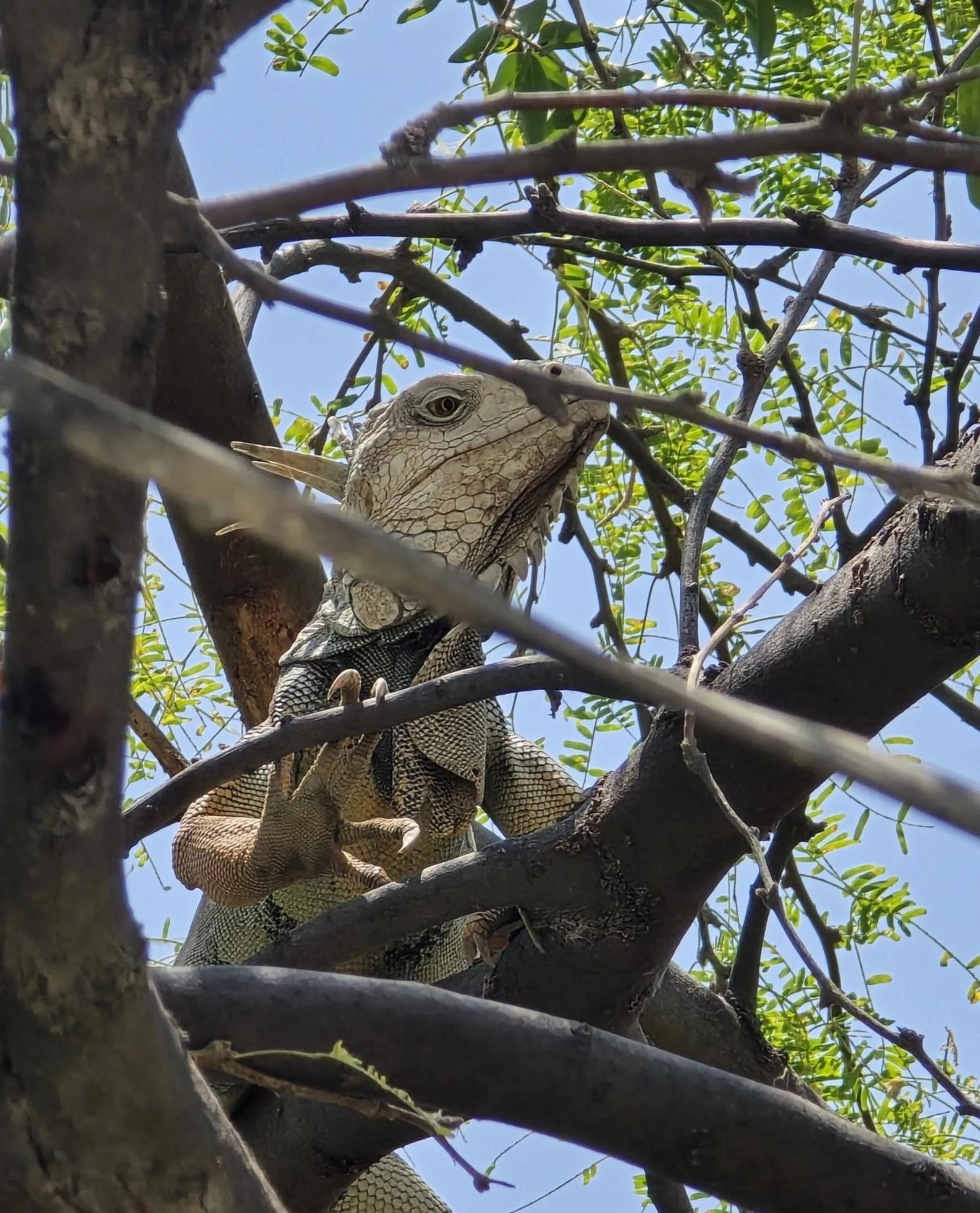 Natural landscape in Hotel Los Veleros Santa Marta