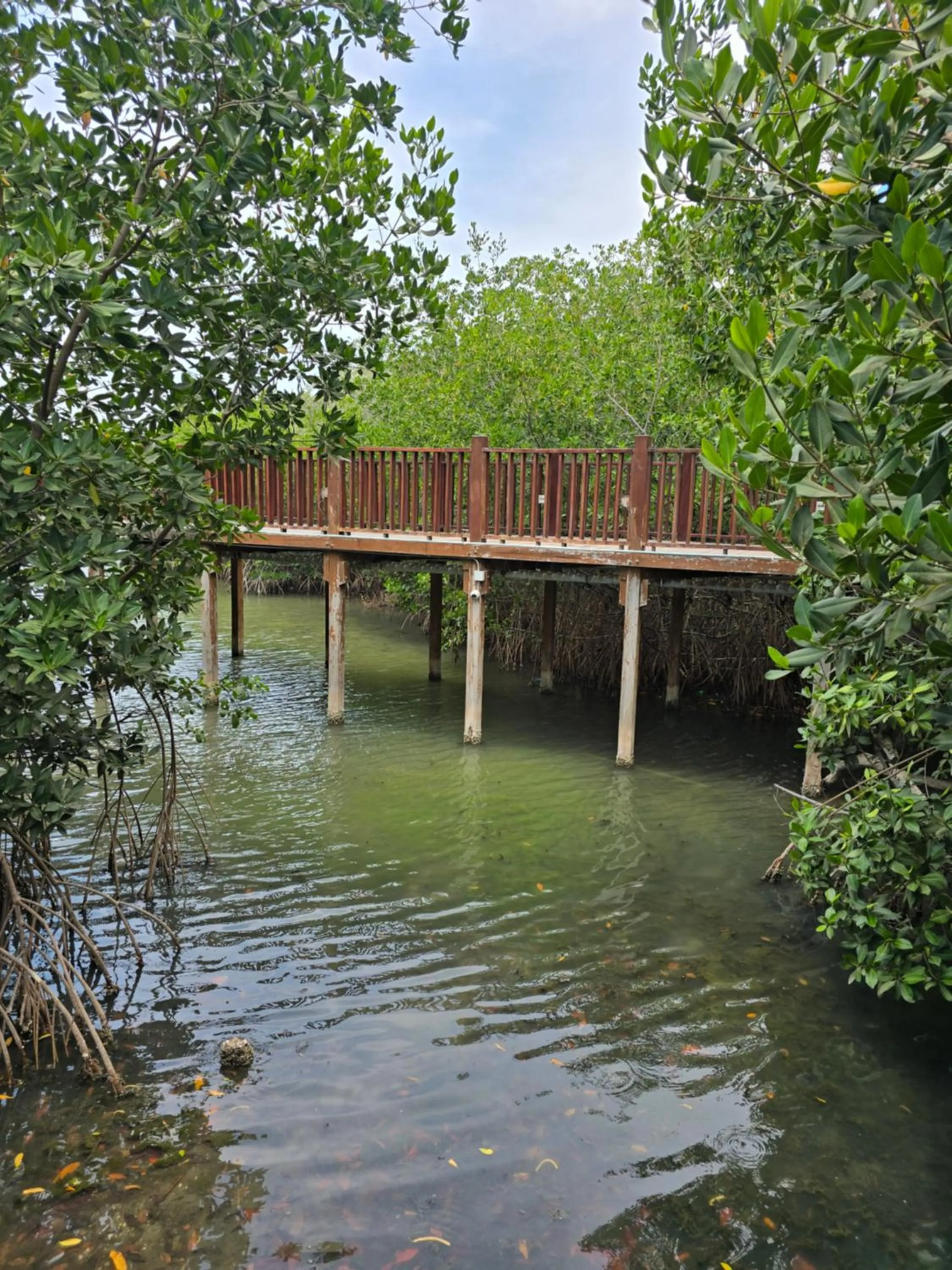 Natural landscape in Hotel Los Veleros Santa Marta