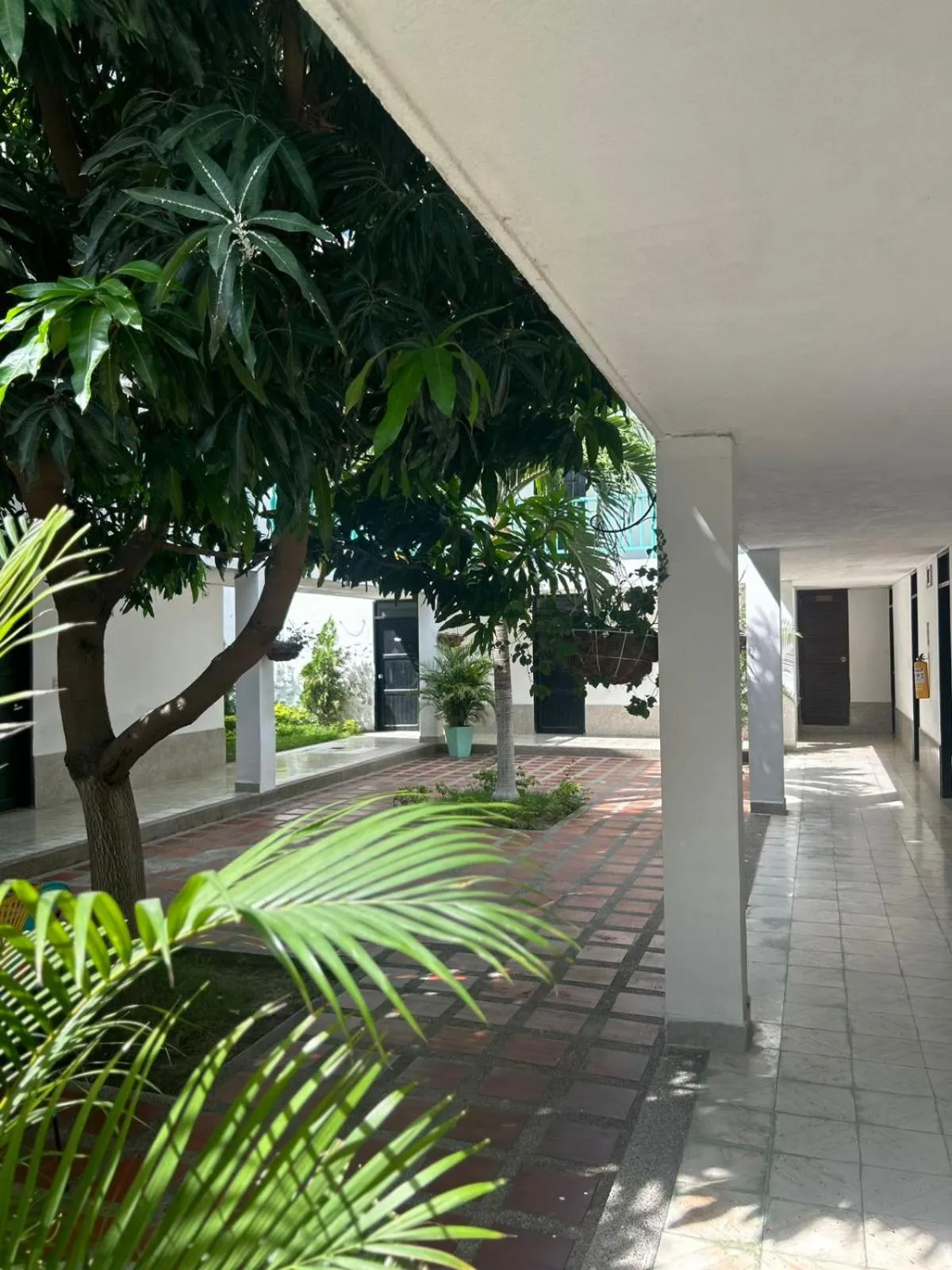 Garden in Hotel Los Veleros Santa Marta