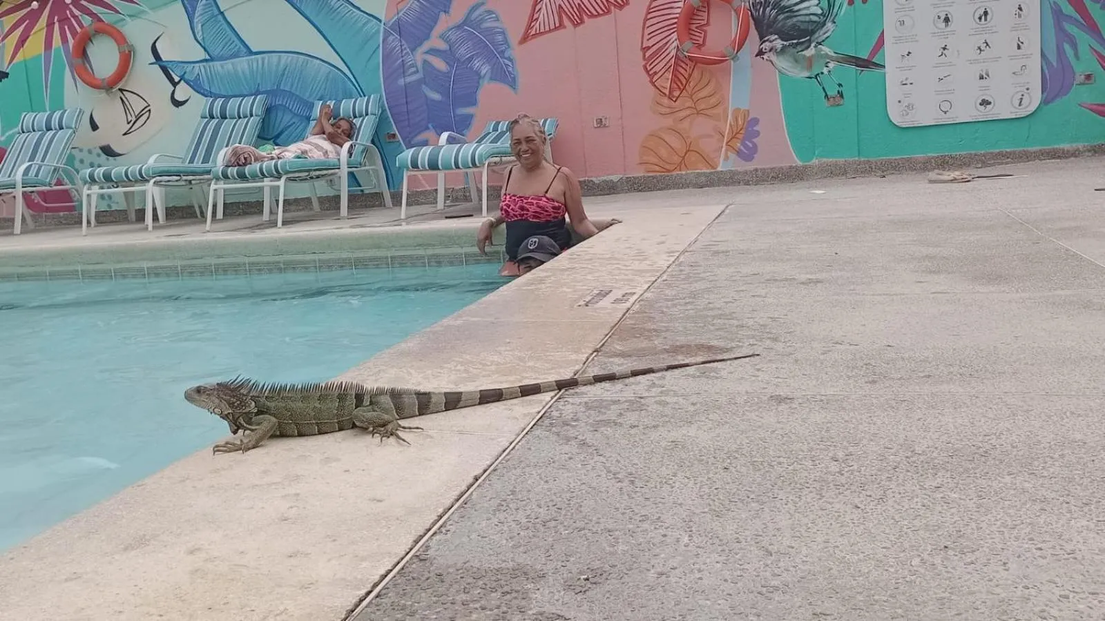 Animals in Hotel Los Veleros Santa Marta