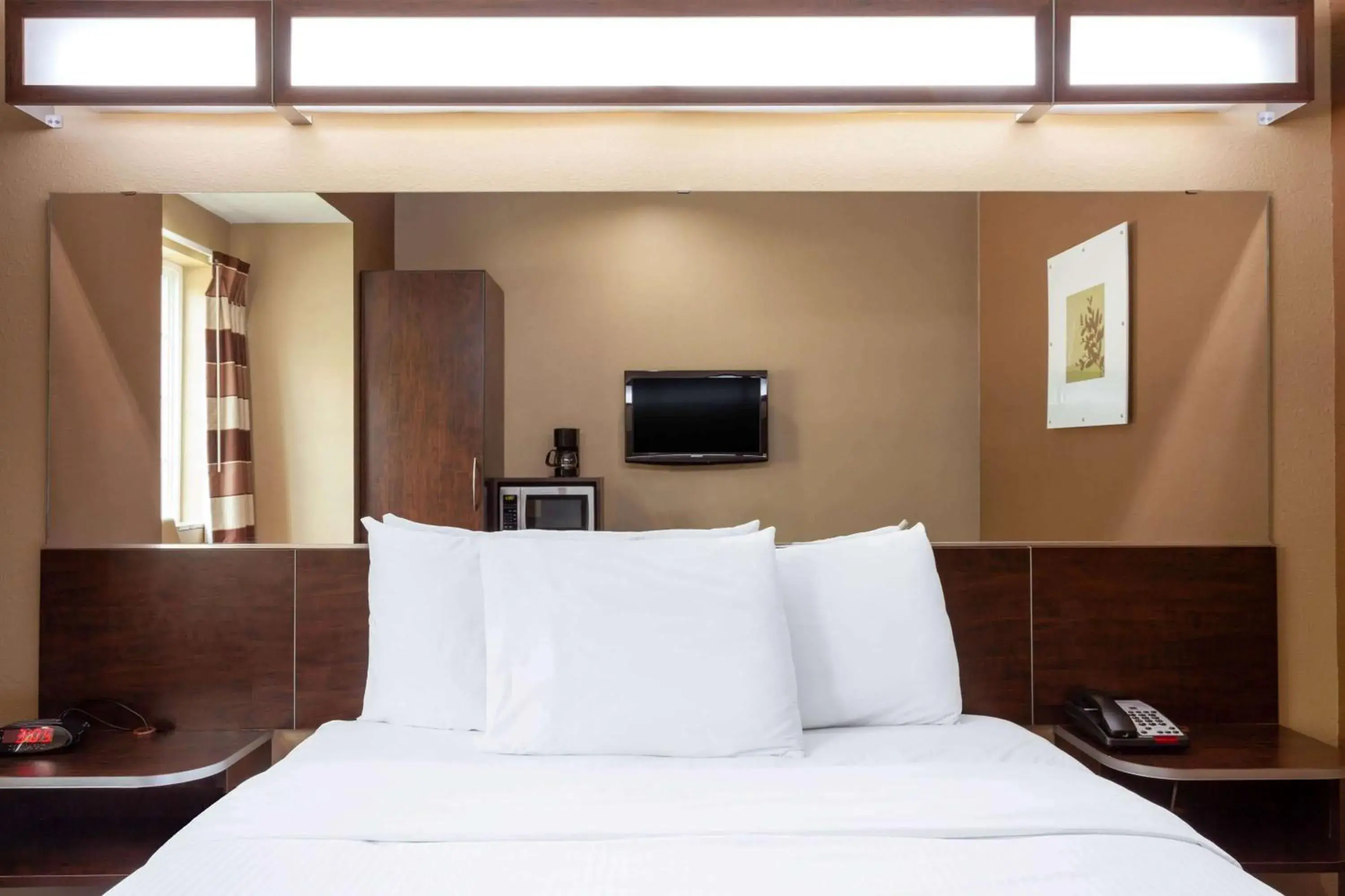 Photo of the whole room, Bed in Microtel Inn & Suites by Wyndham Columbia Photo of the whole room, Bed in Microtel Inn & Suites by Wyndham Columbia