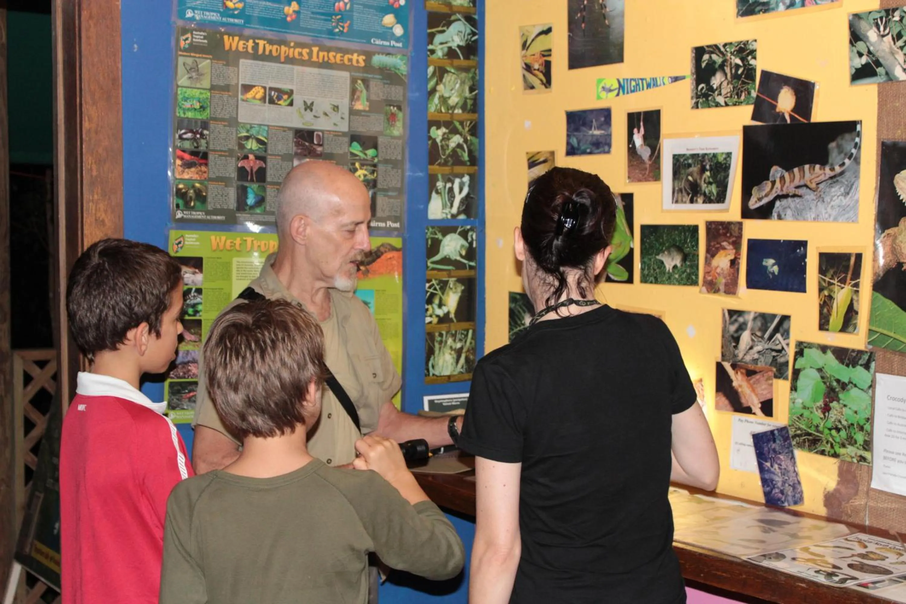 Night in Daintree Crocodylus