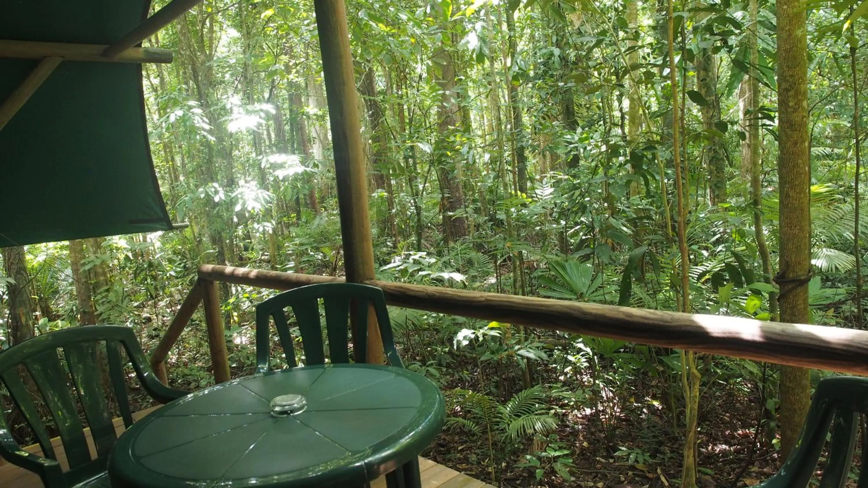 Patio in Daintree Crocodylus