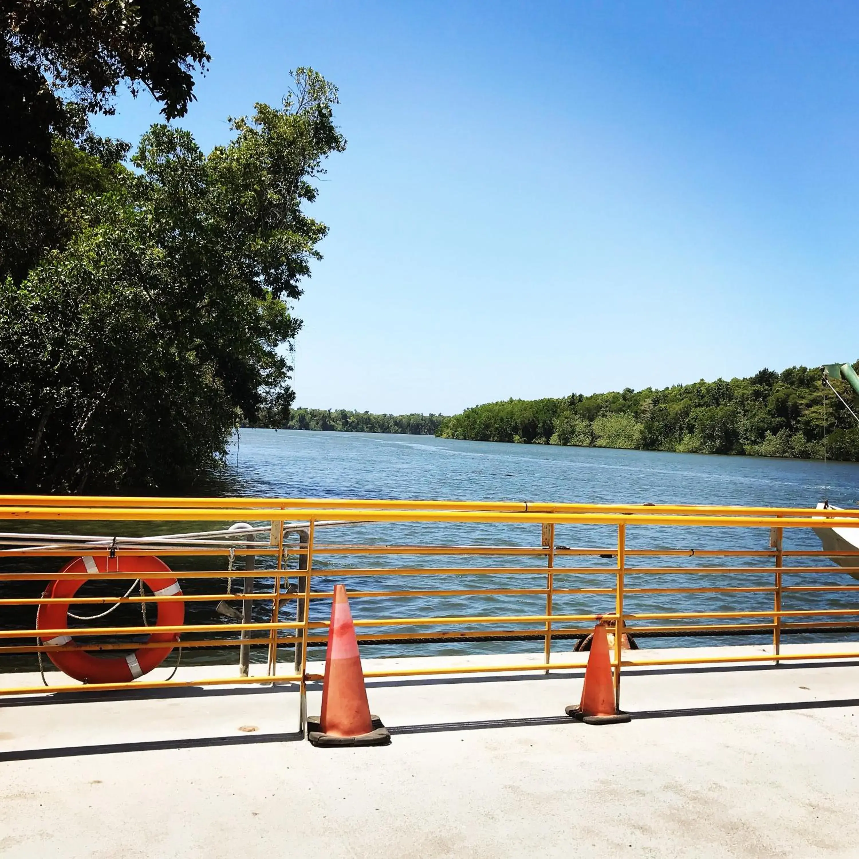 River view in Daintree Crocodylus River view in Daintree Crocodylus