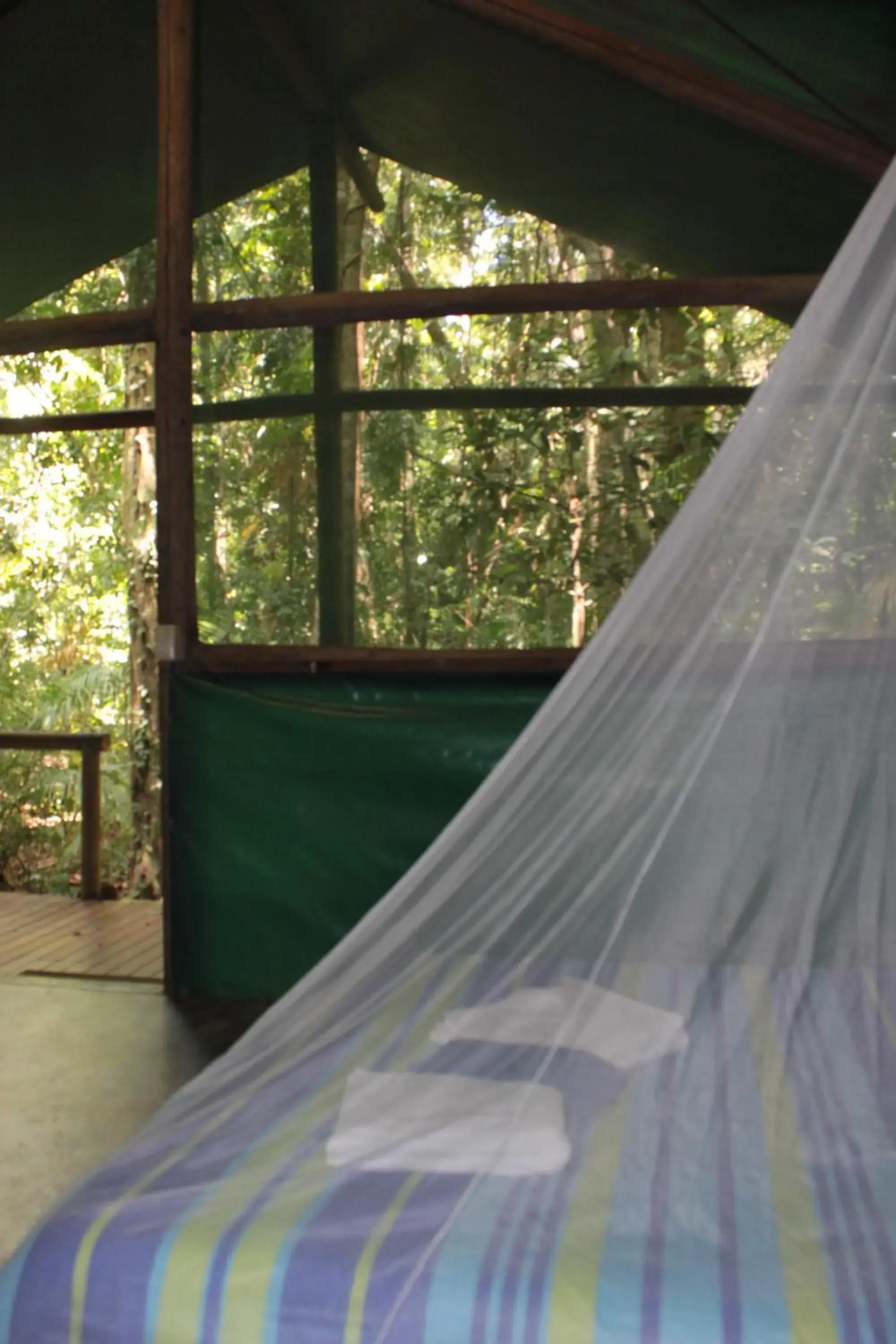 View (from property/room) in Daintree Crocodylus View (from property/room) in Daintree Crocodylus