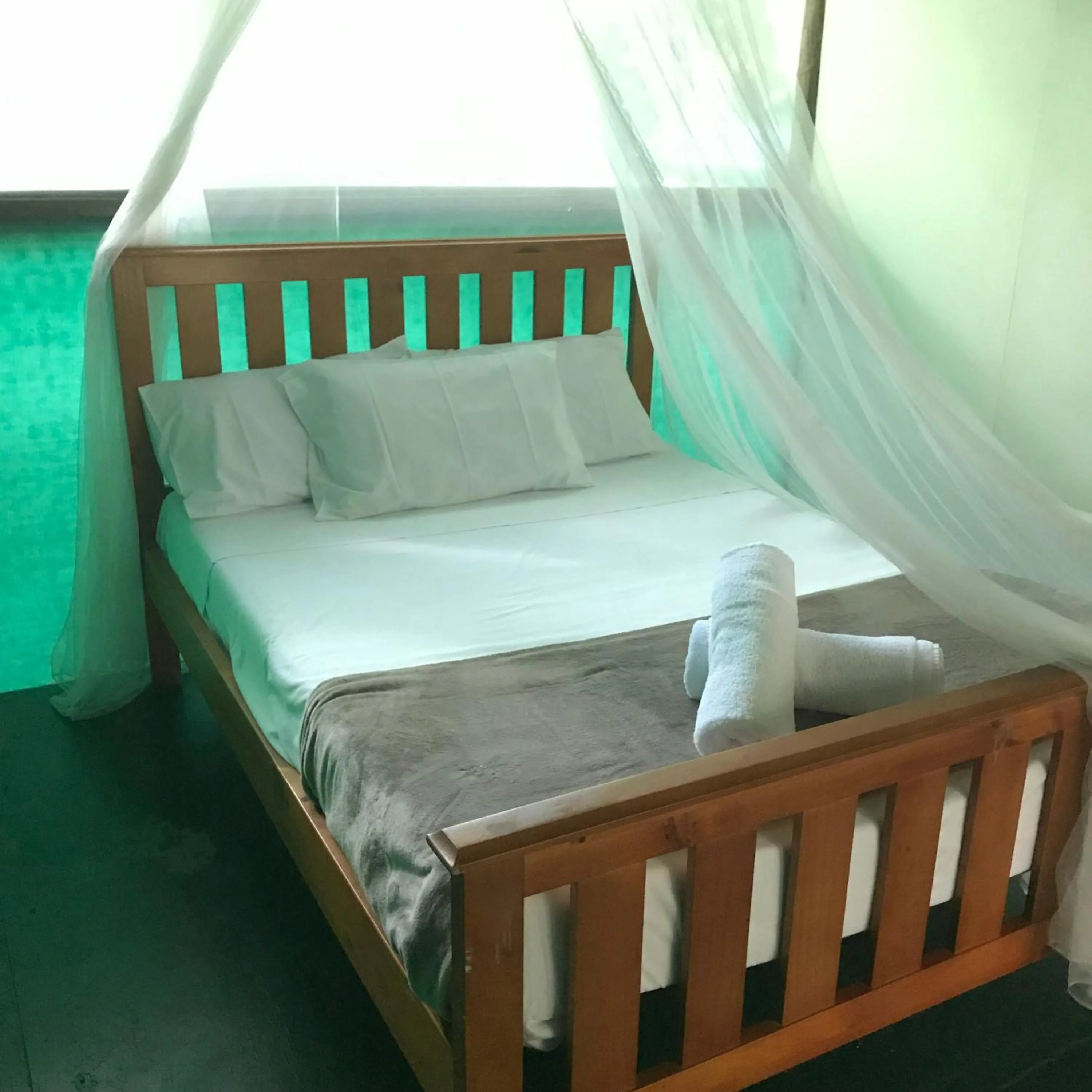 Bed in Daintree Crocodylus