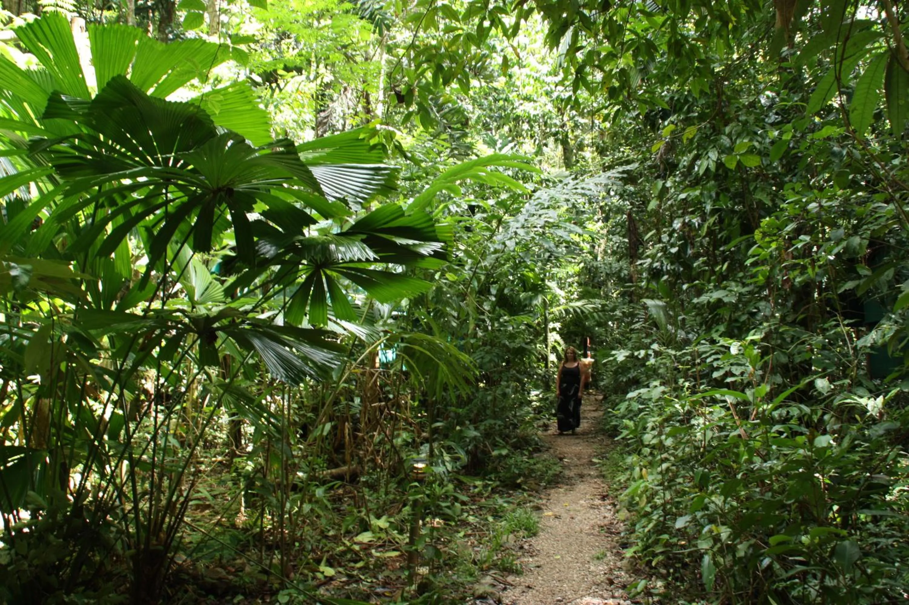 Facade/entrance in Daintree Crocodylus