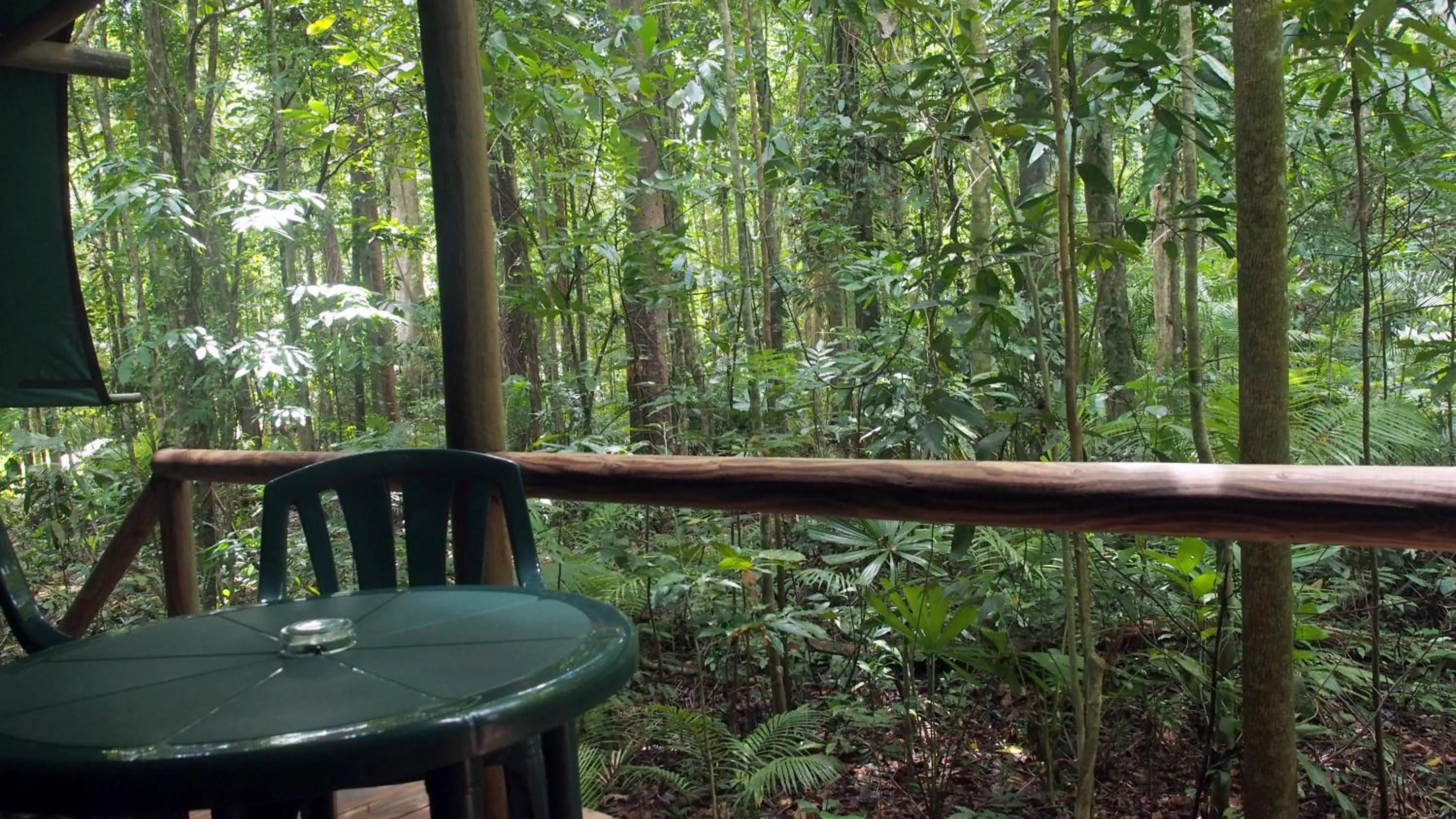 Patio in Daintree Crocodylus