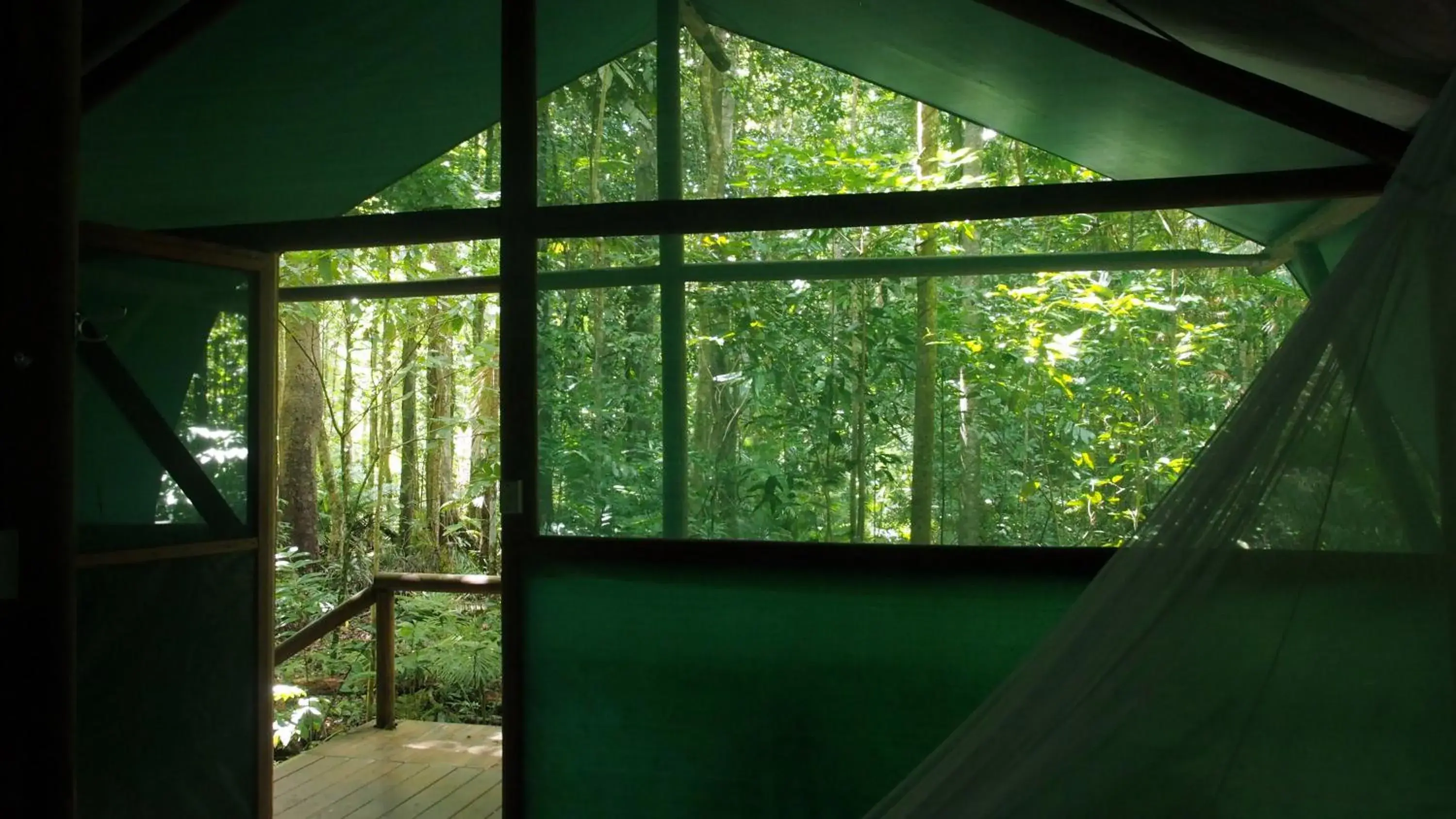 Economy Quadruple Room with Shared Bathroom in Daintree Crocodylus Economy Quadruple Room with Shared Bathroom in Daintree Crocodylus