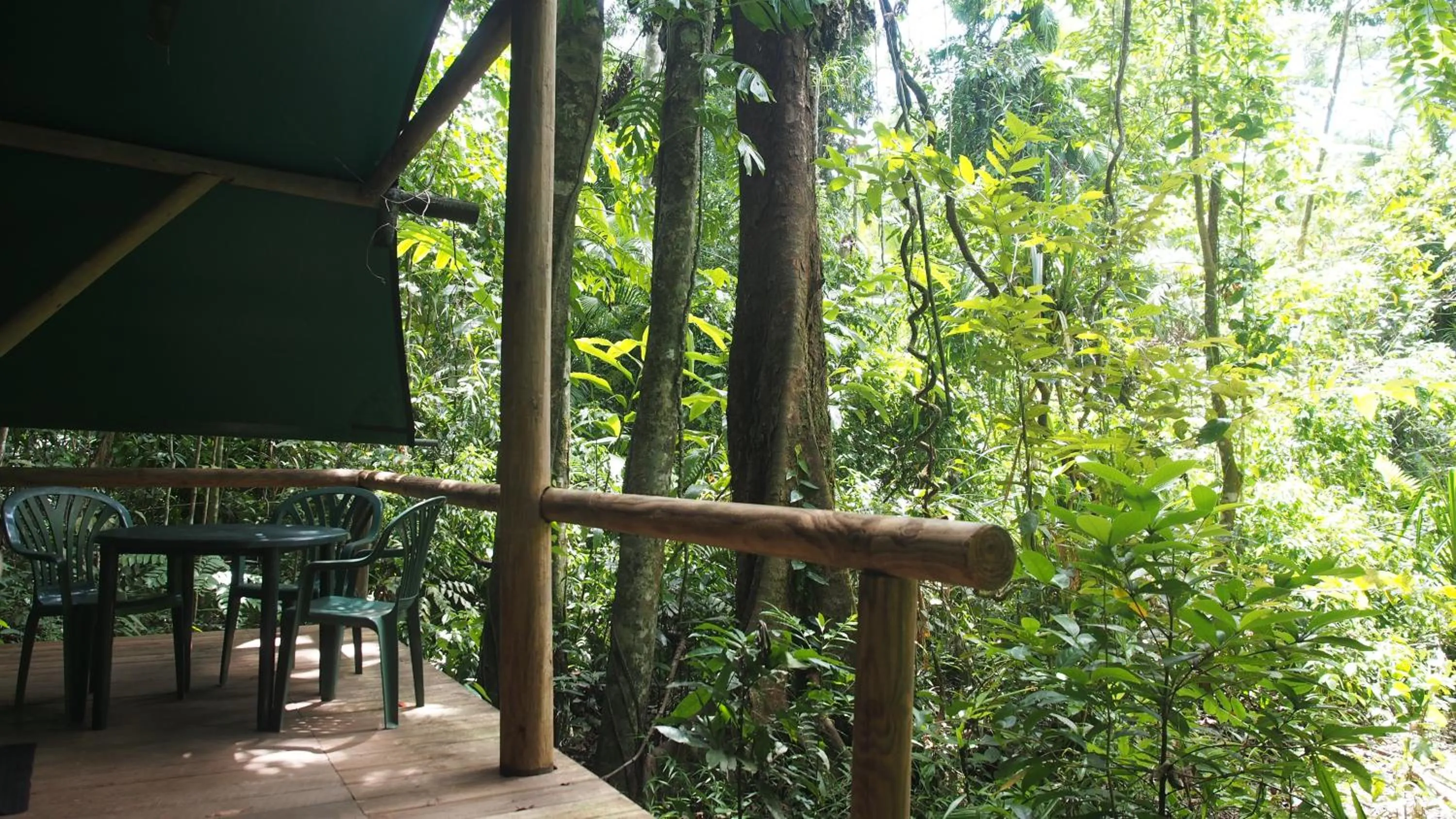 Patio in Daintree Crocodylus