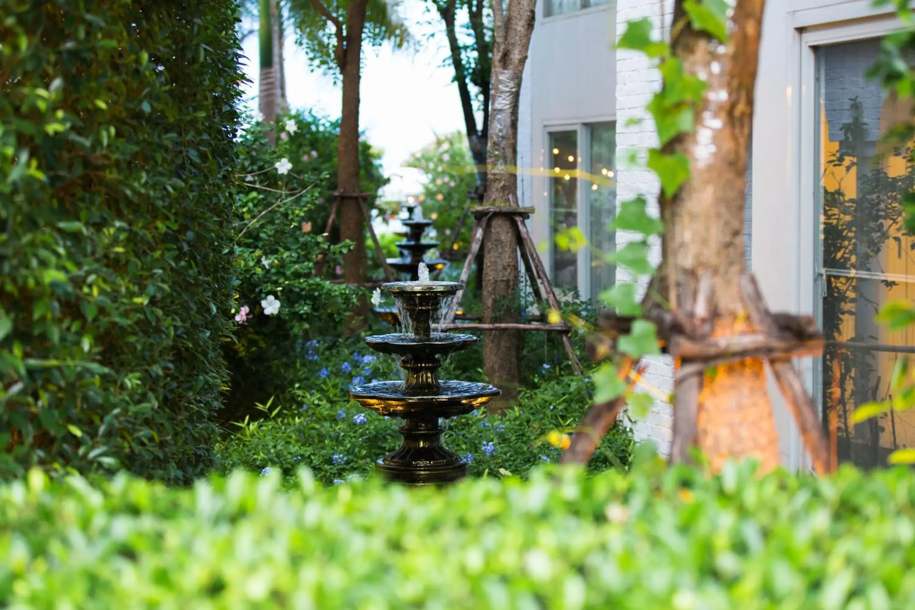 Garden view in Verano Beach Villa Garden view in Verano Beach Villa