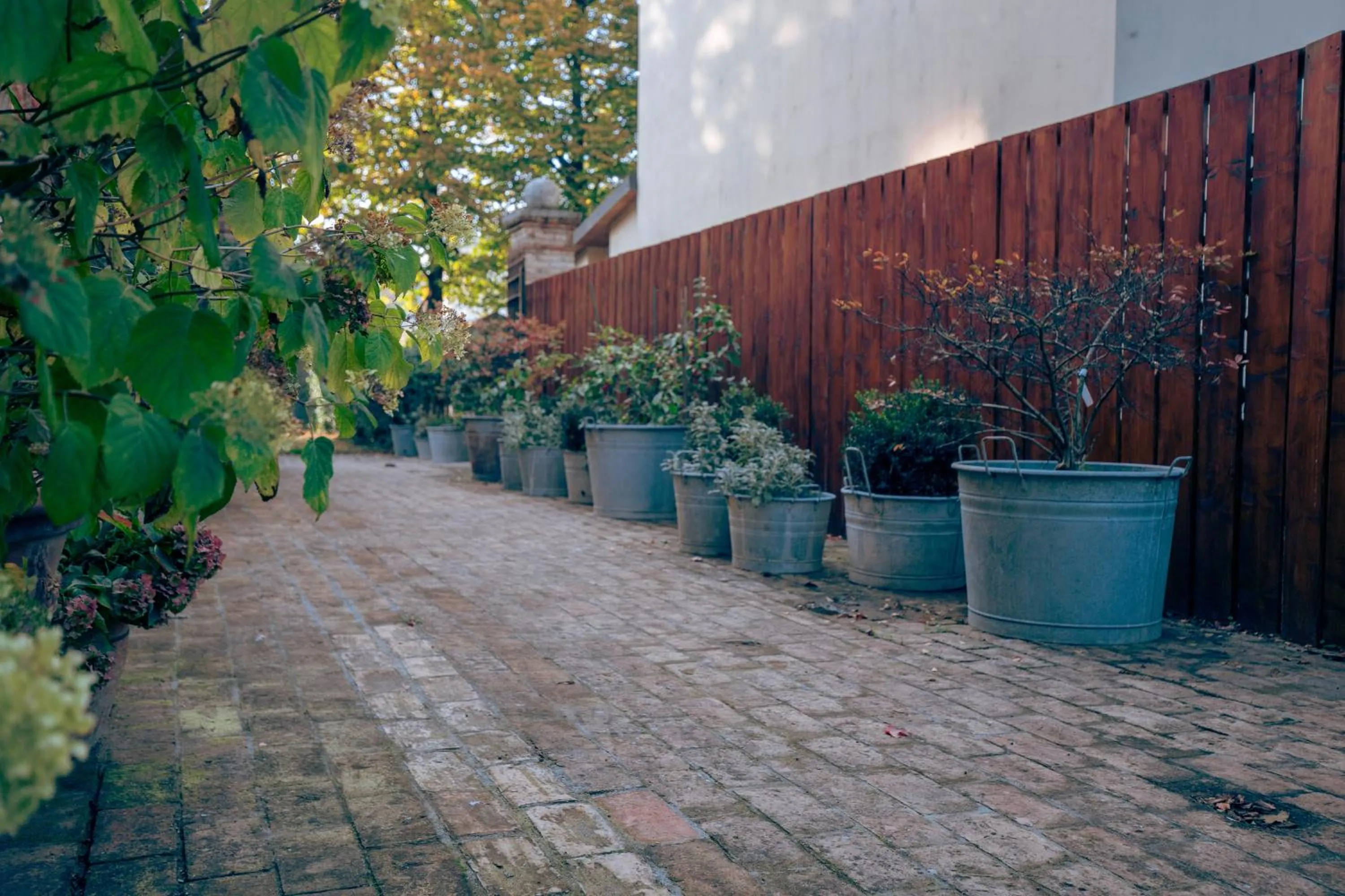 Garden in La Luna nel Pozzo