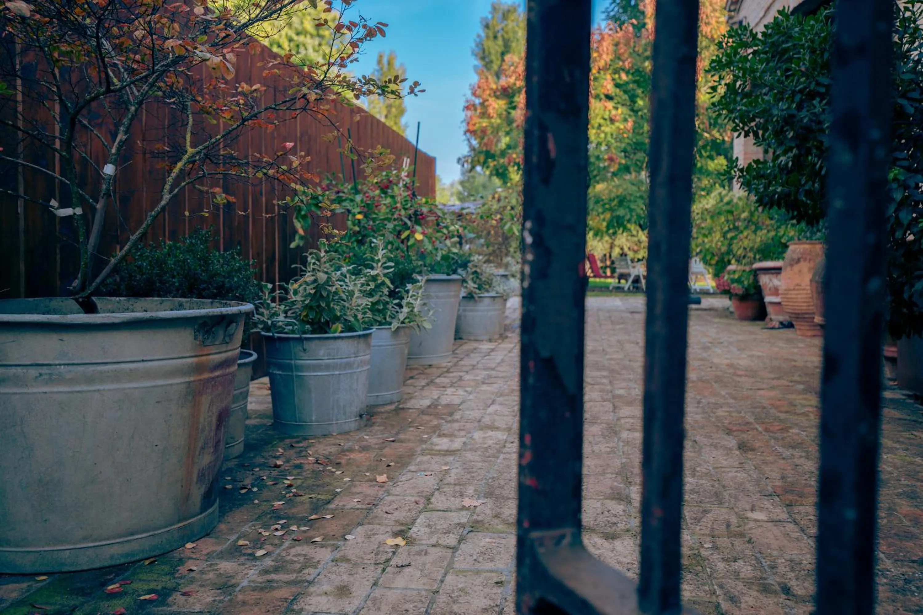 Garden in La Luna nel Pozzo