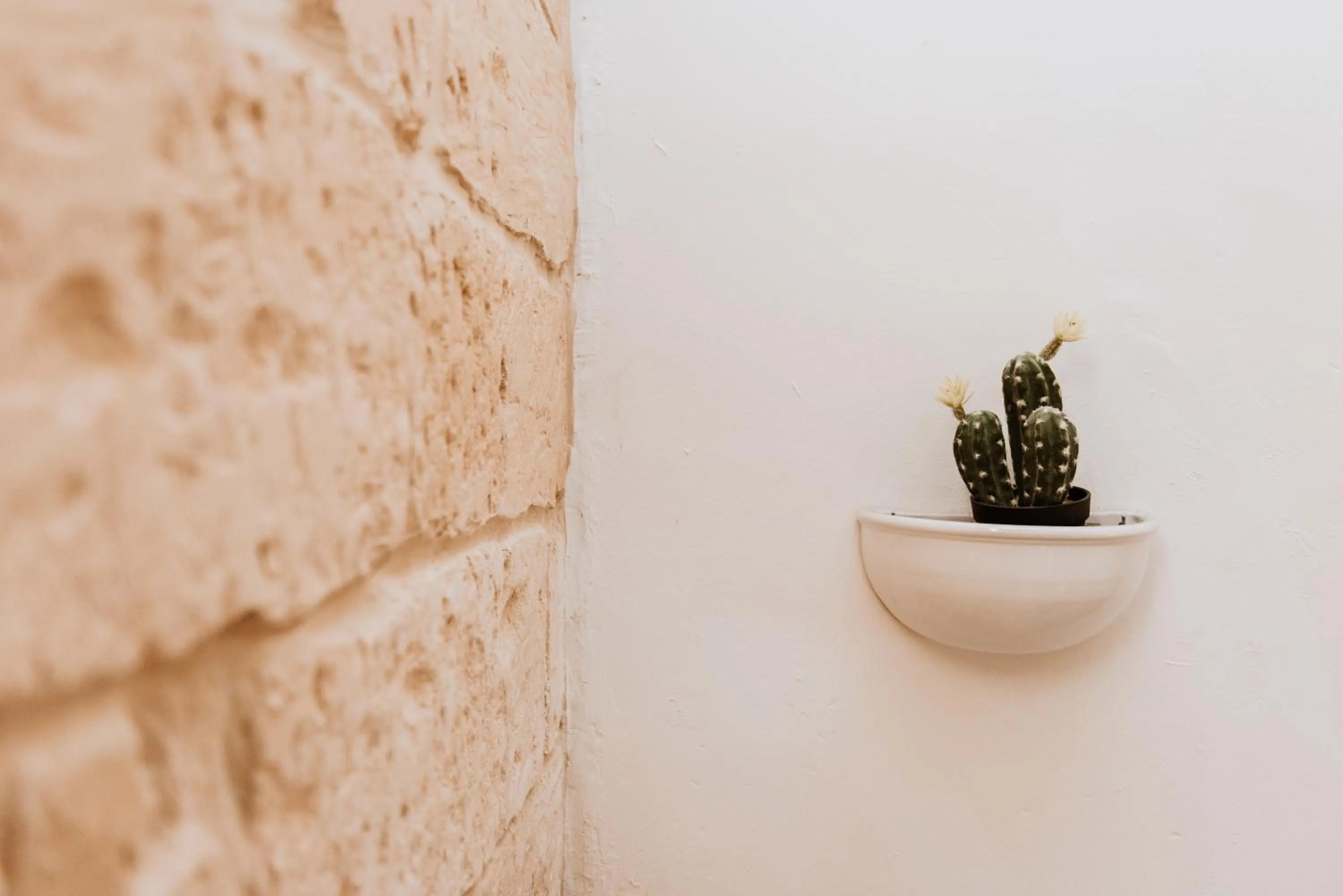 View (from property/room) in Terrae Hydrunti