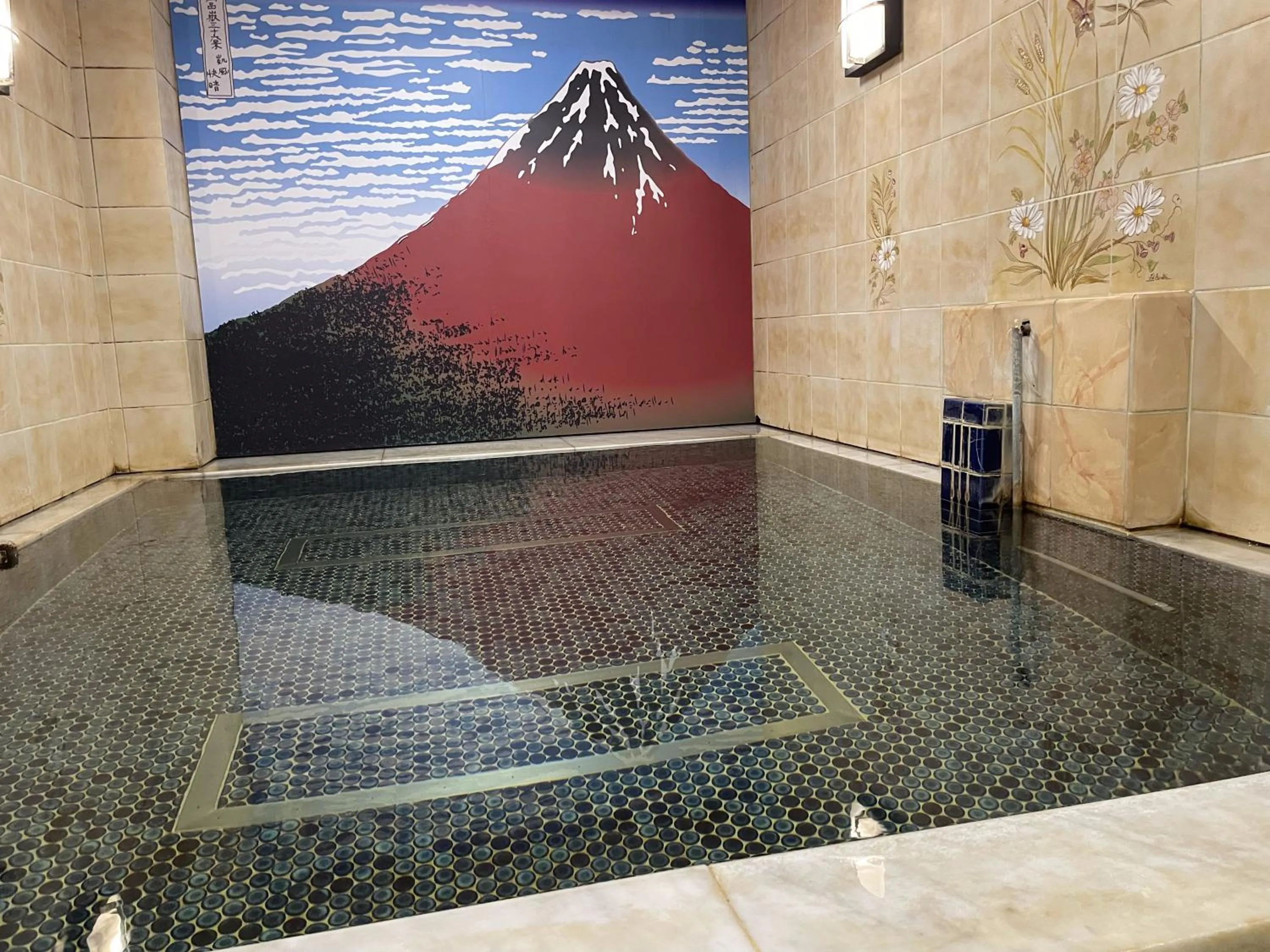Capsule Inn Kinshicho