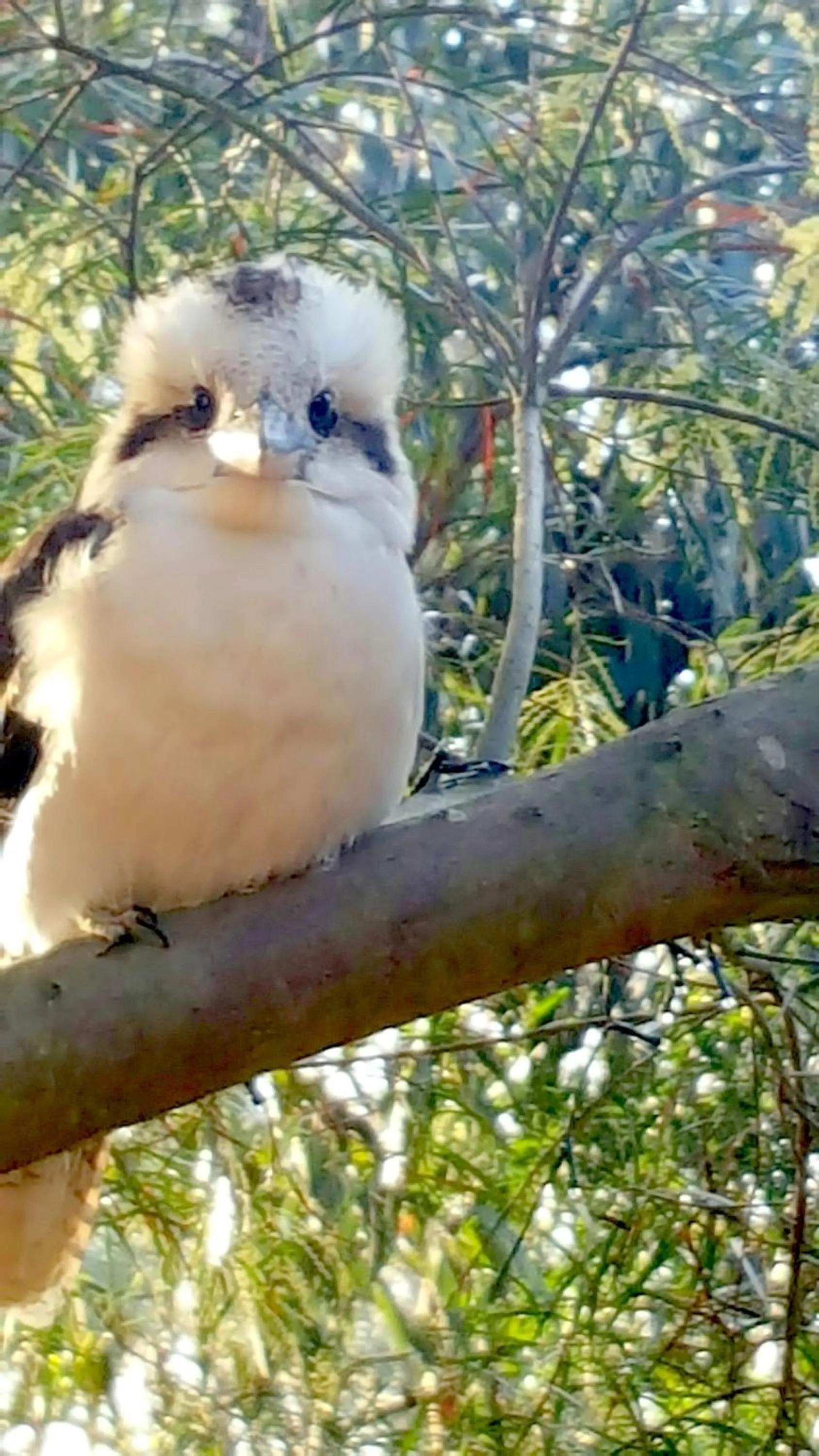 Property building in The Nature Resort Villas Ramada Resort