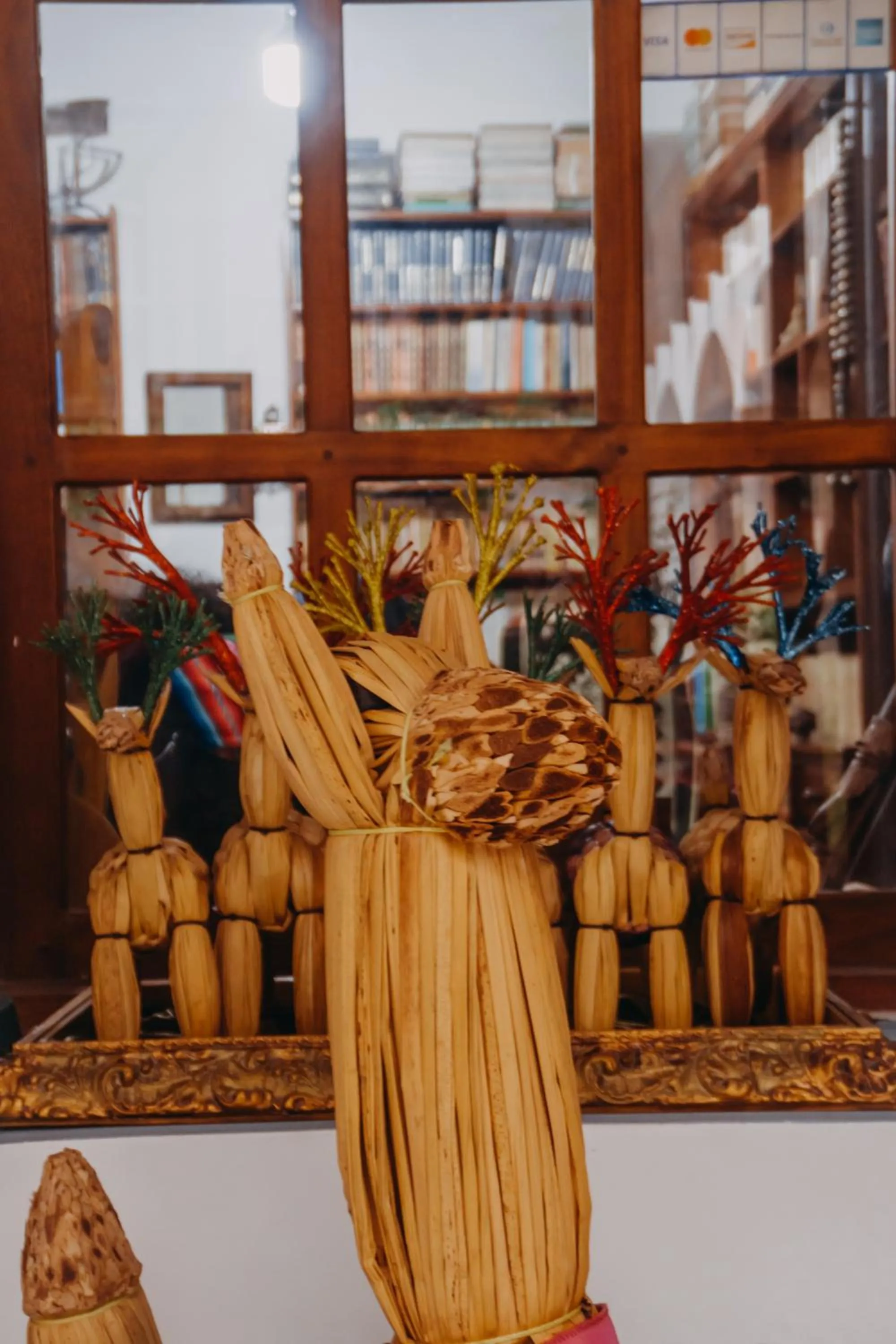 Library in Hotel Casa Alquimia