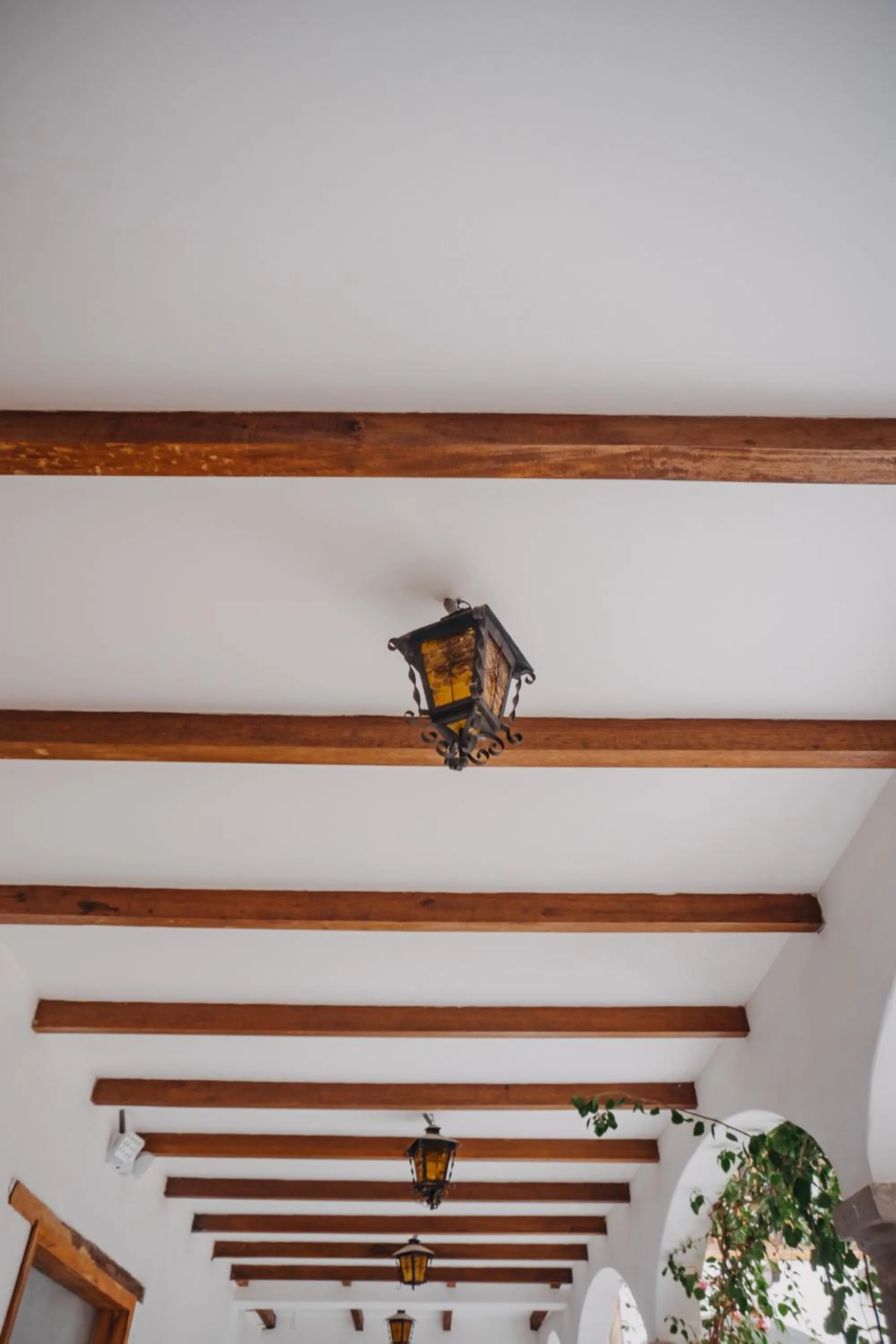 Decorative detail in Hotel Casa Alquimia