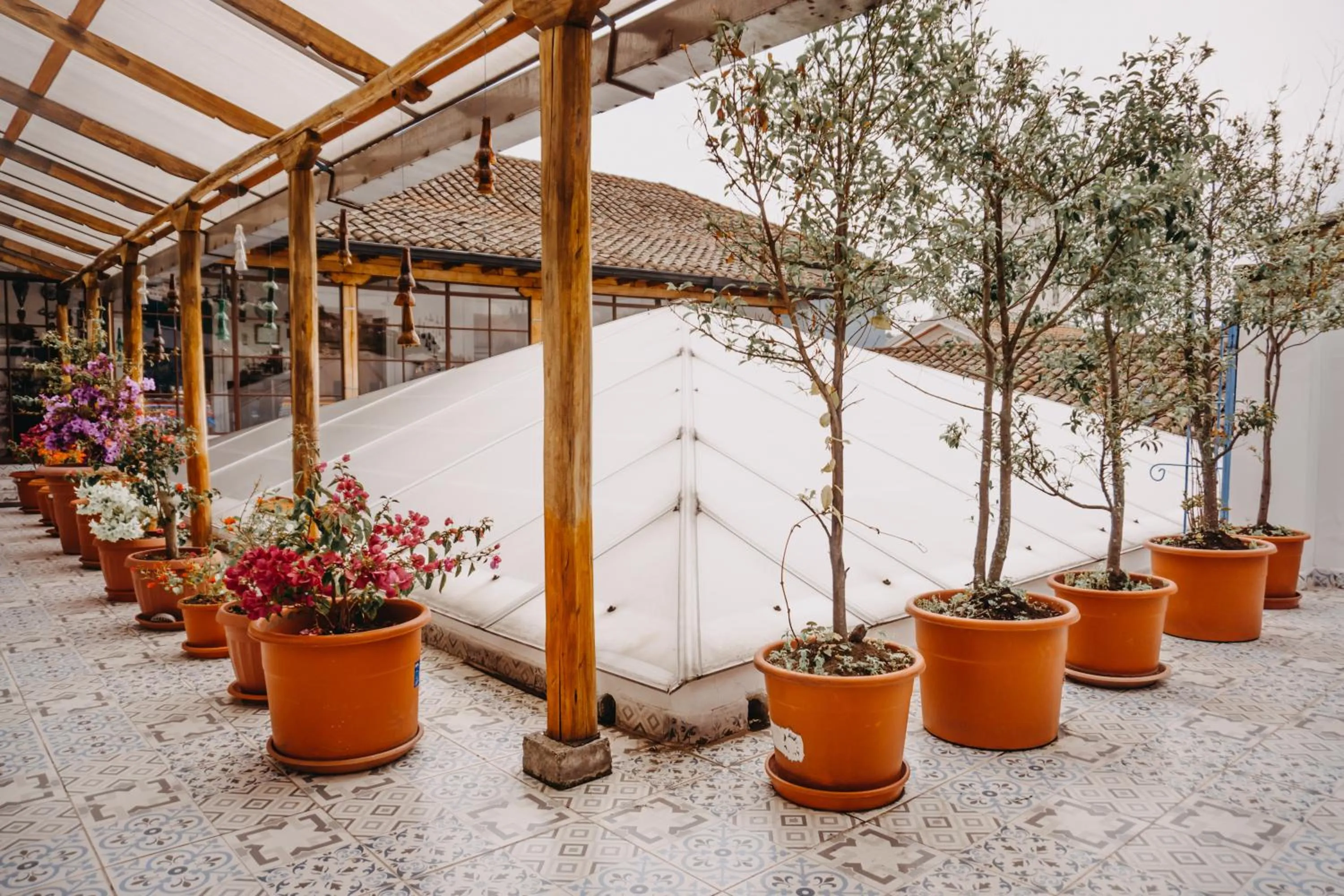 Spring in Hotel Casa Alquimia