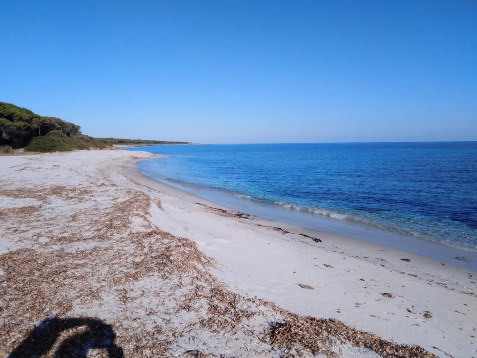 Beach in Residence La Pineta