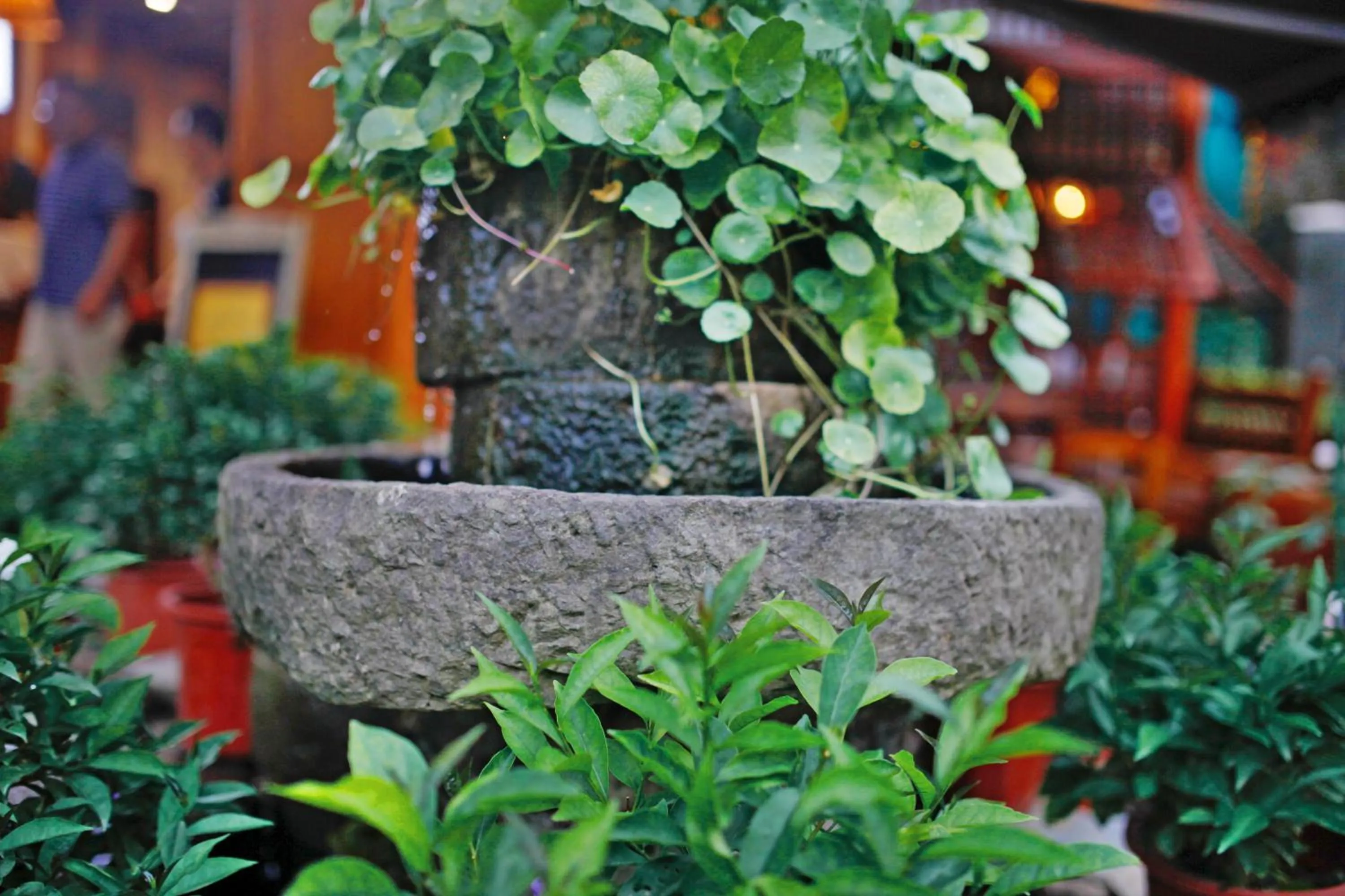 Balcony/Terrace in Guihua Road 106th Hostel