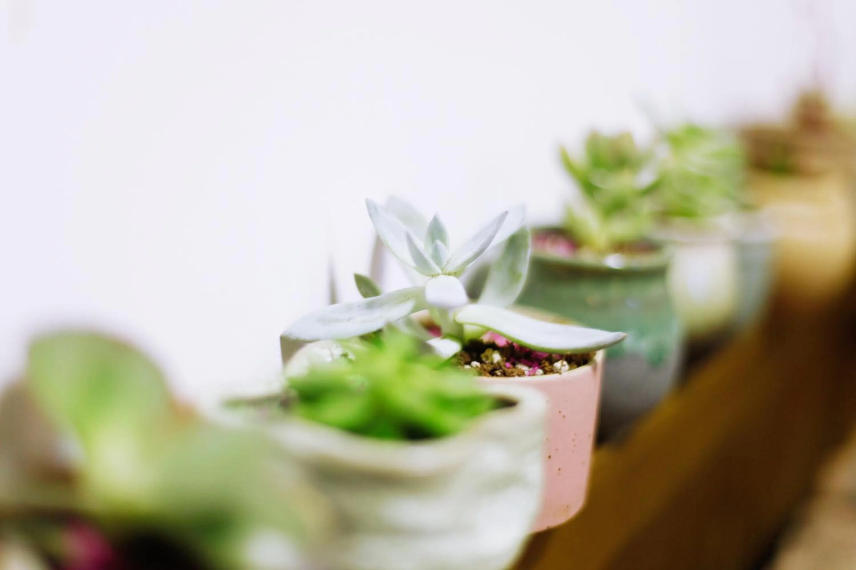 View (from property/room) in Guihua Road 106th Hostel