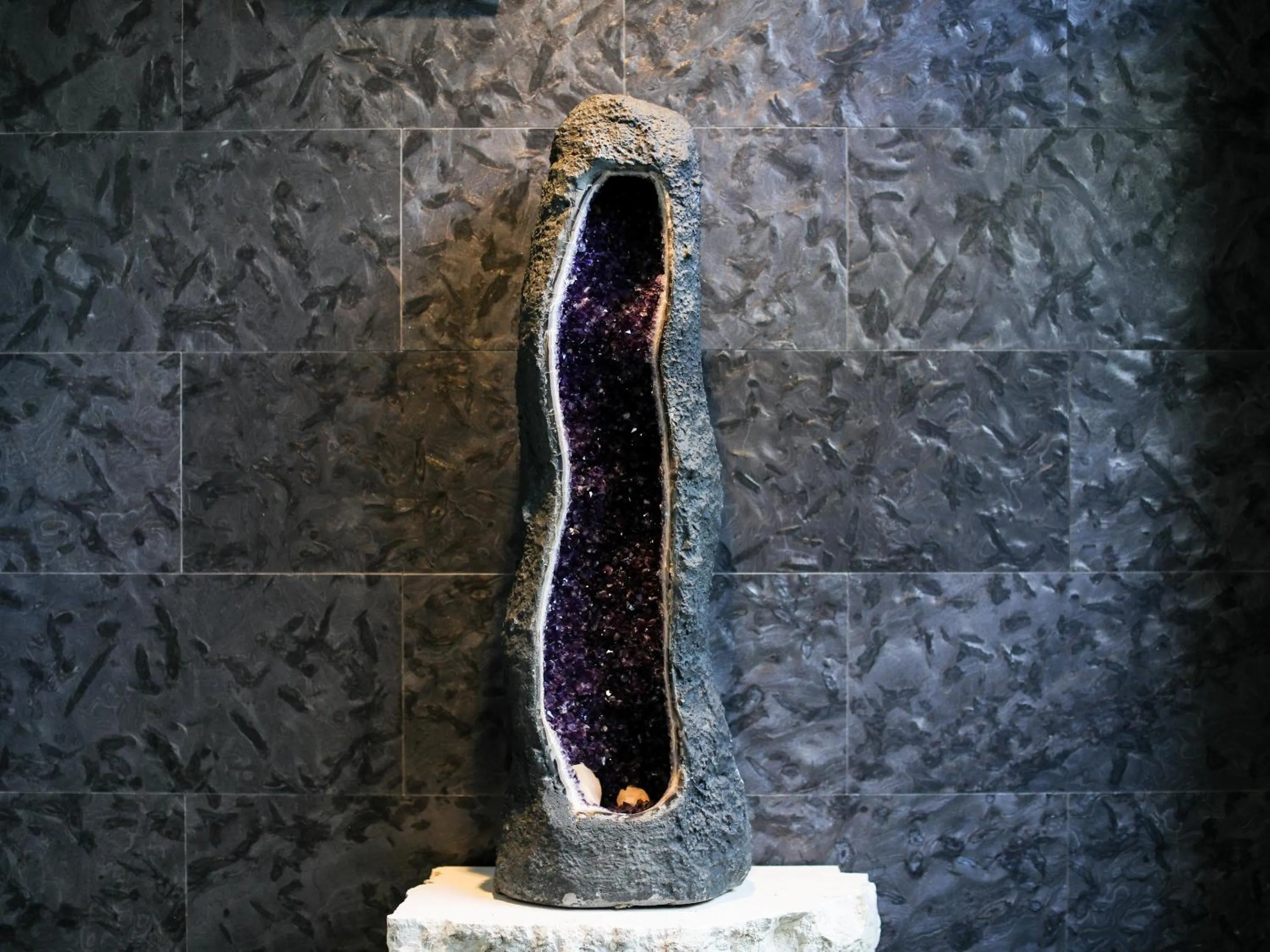 Lobby or reception in Hotel 385