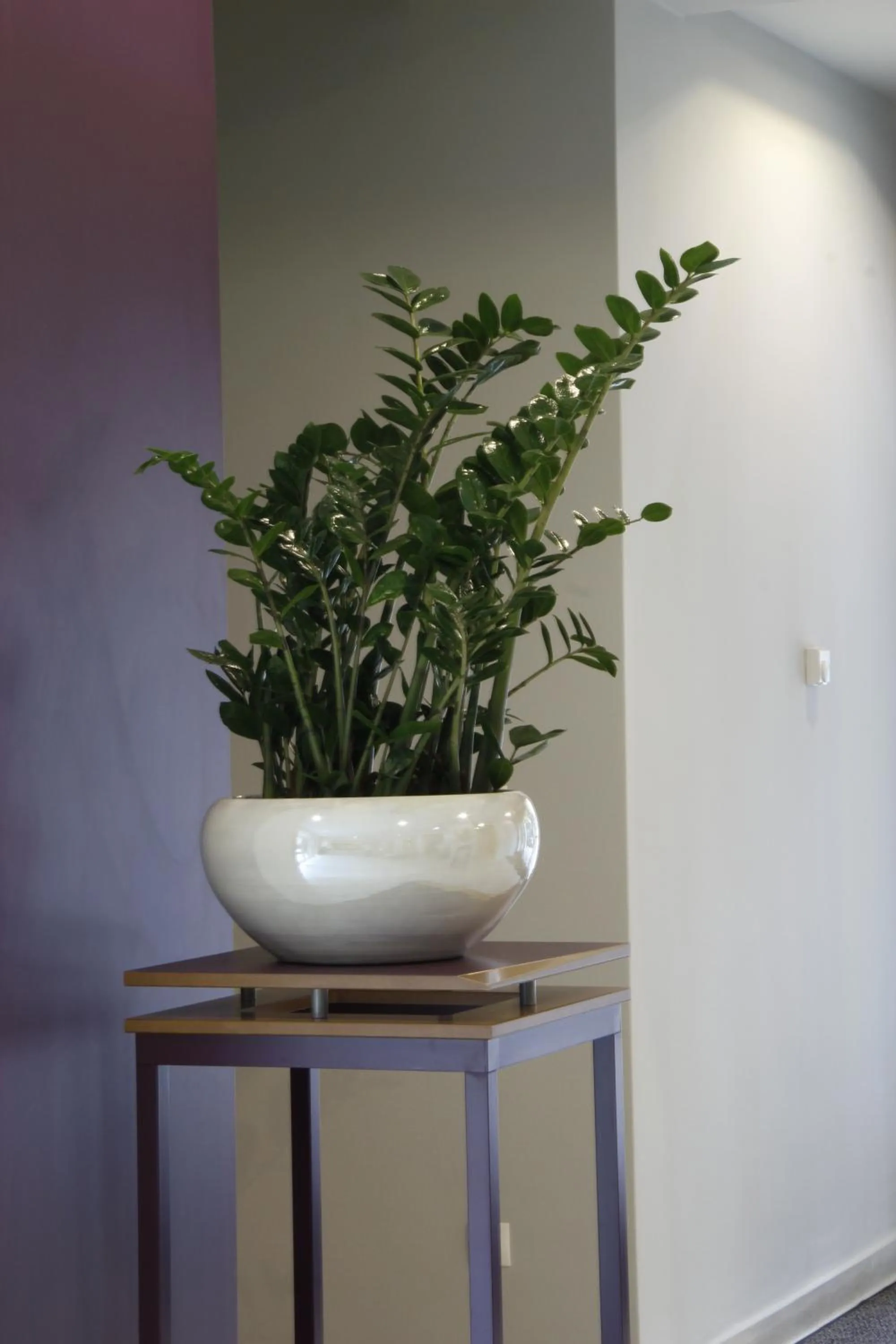 Lobby or reception in Szent Gellért Hotel