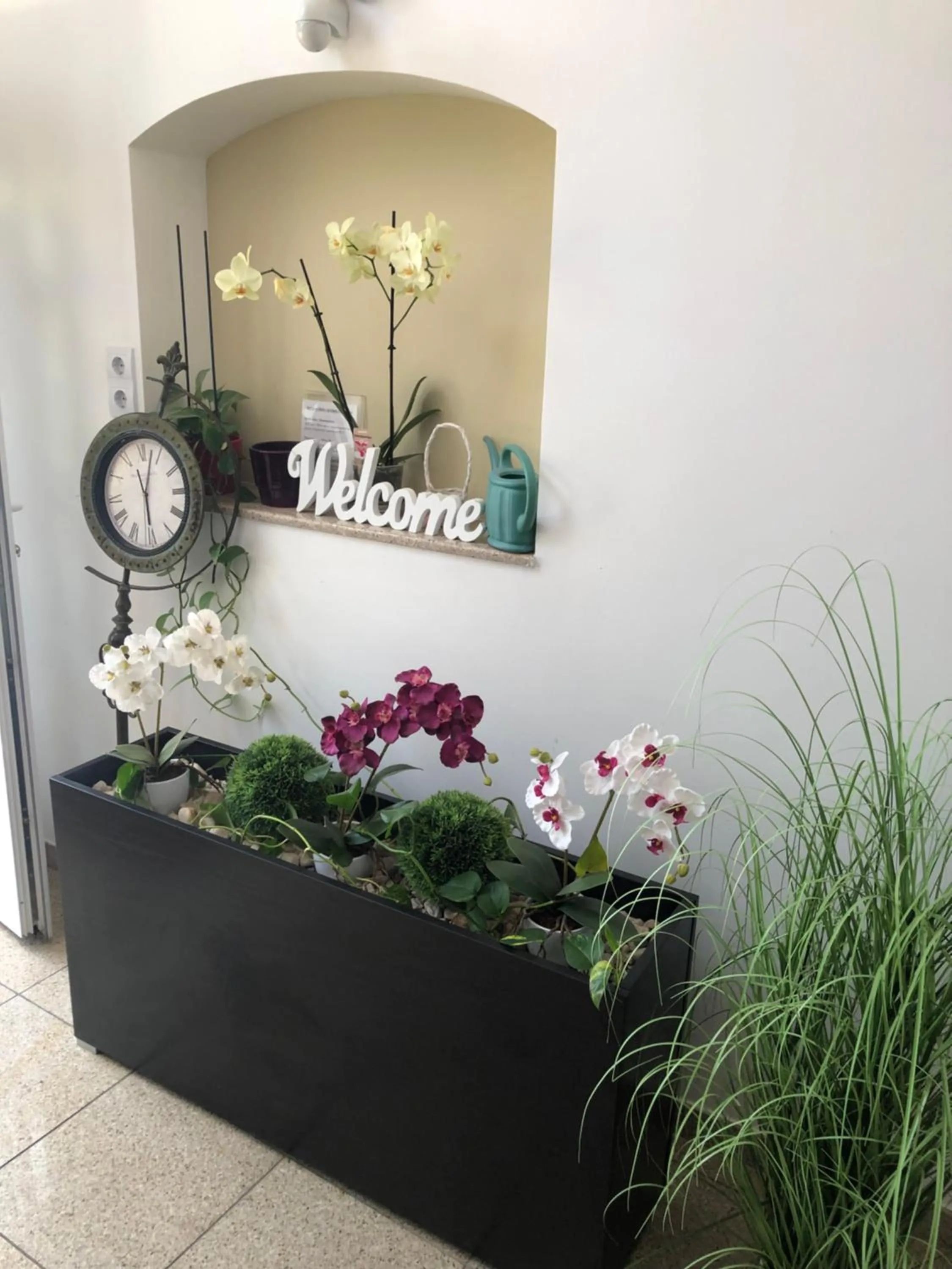 Mosoly Apartman